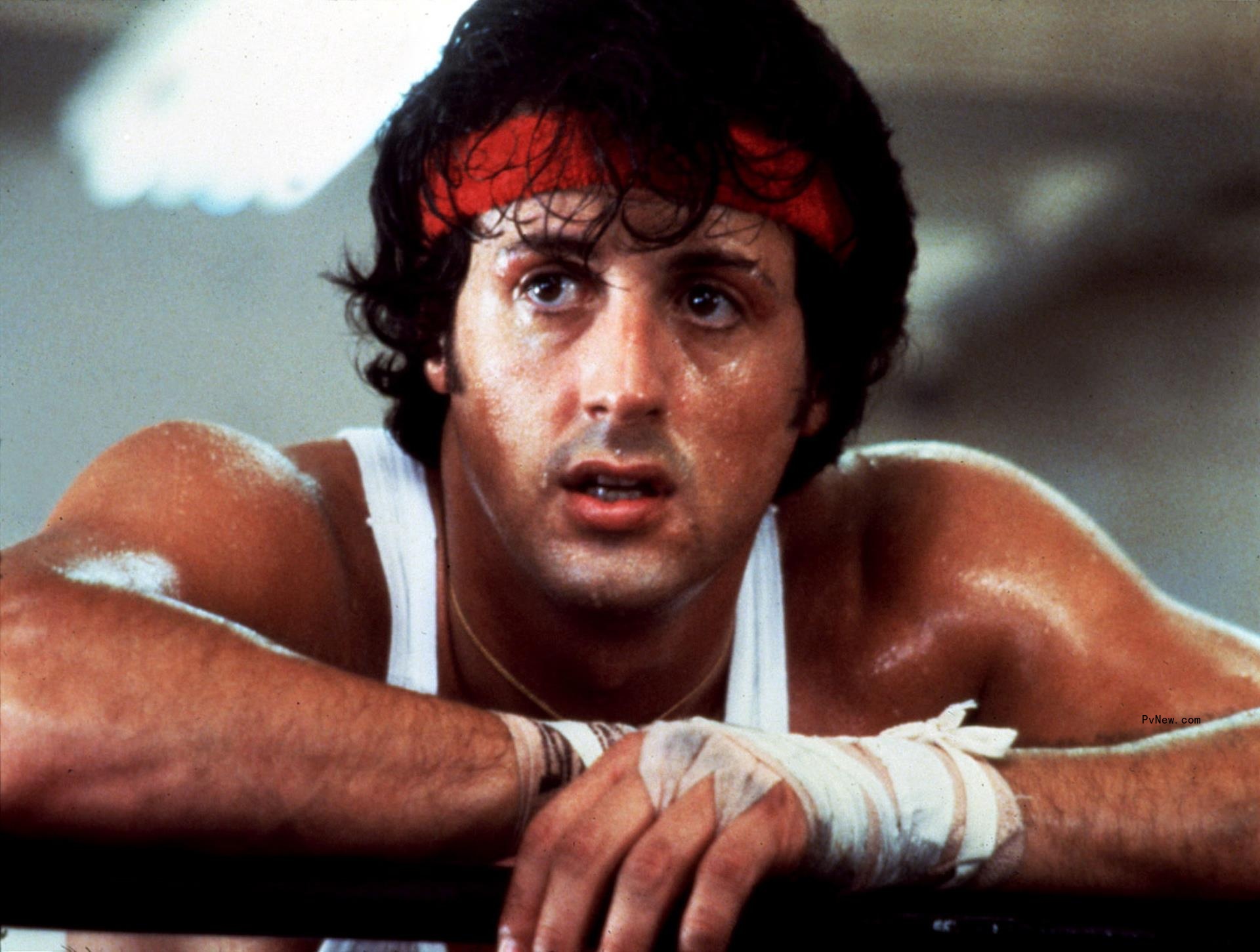 Sylvester Stallone Thought ‘My Career Is Over’ After ‘Rocky II’ Injury Tore His ‘Pec Off the Bone’; He Saved the Film by Boxing Right-Handed: ‘We Don’t Quit’