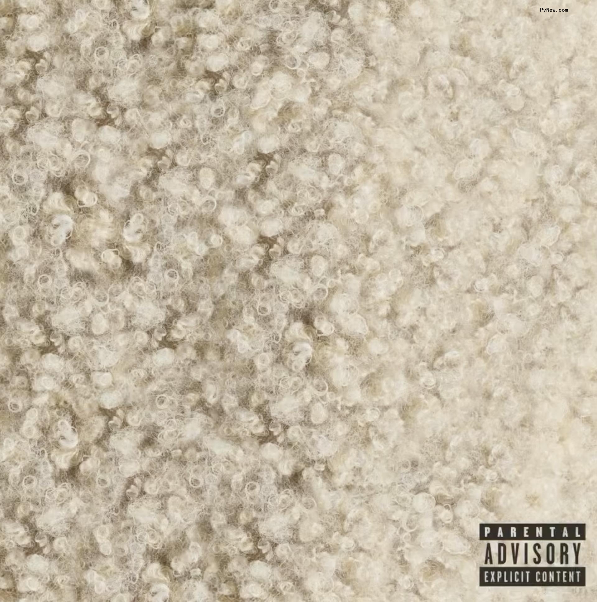 Doja Cat's album cover.