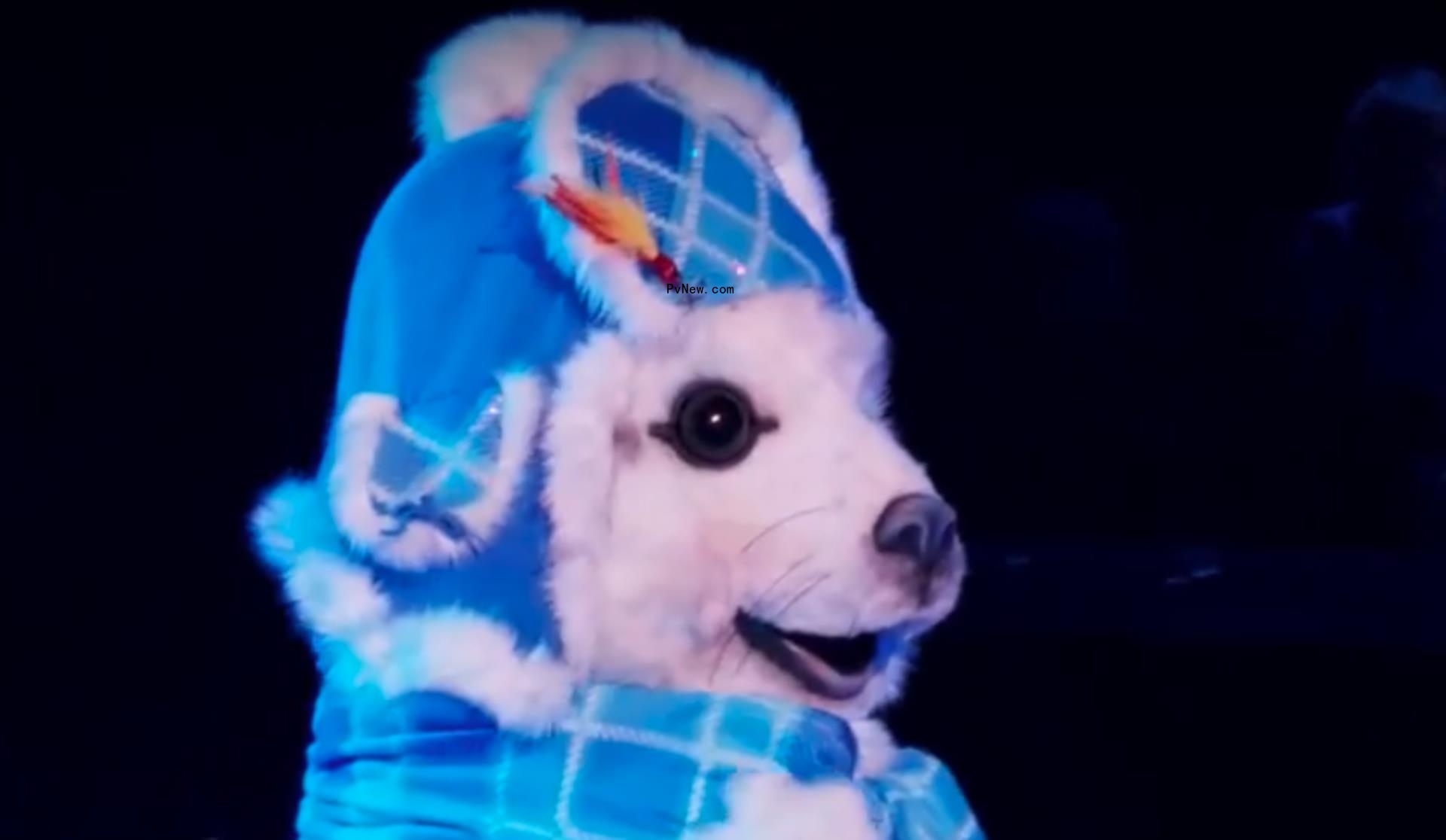 ‘The Masked Singer’ Reveals Identity of Miss Cleocatra: Here Is the Celebrity Under the Costume