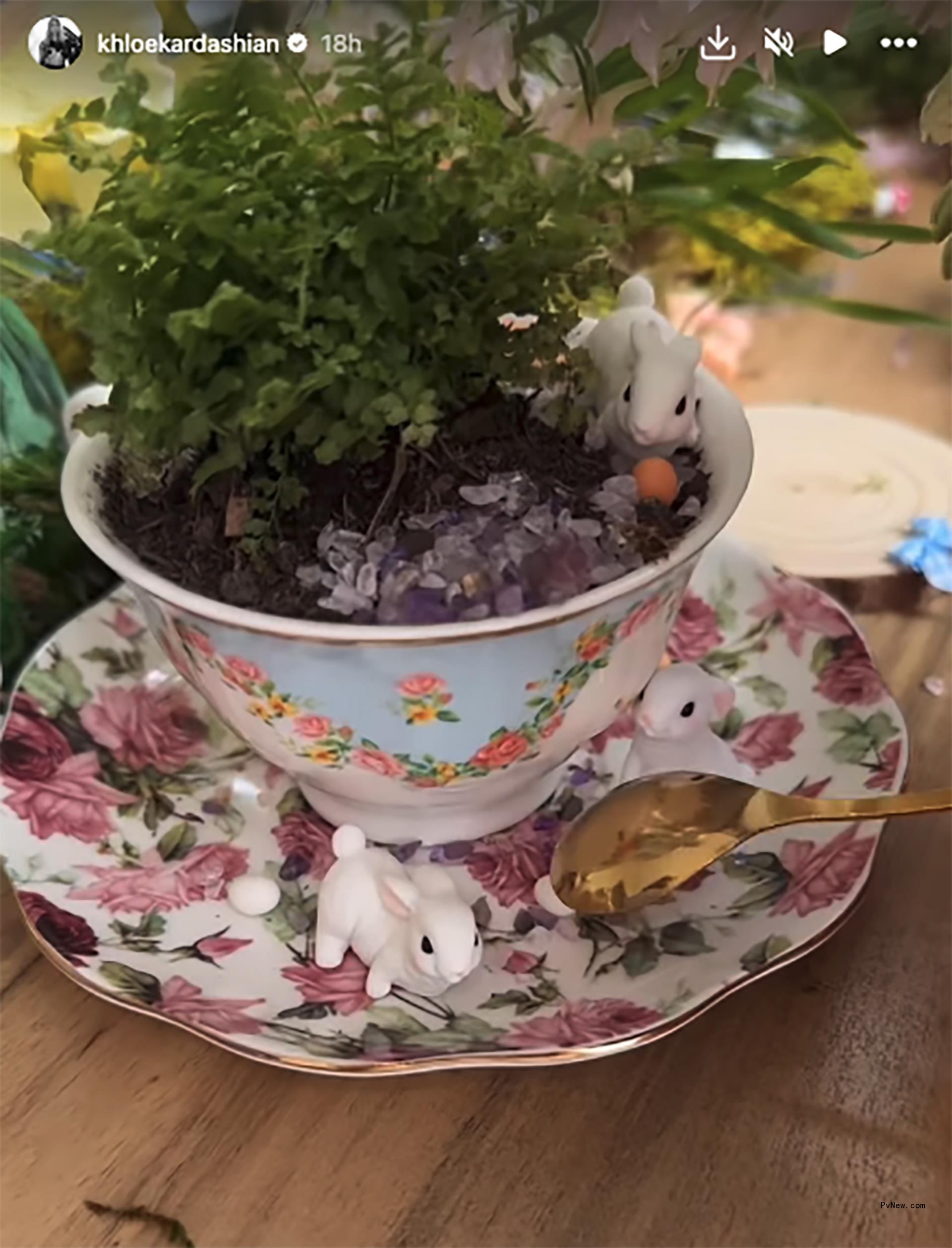 Khloe Kardashian's Instagram Story of a teacup