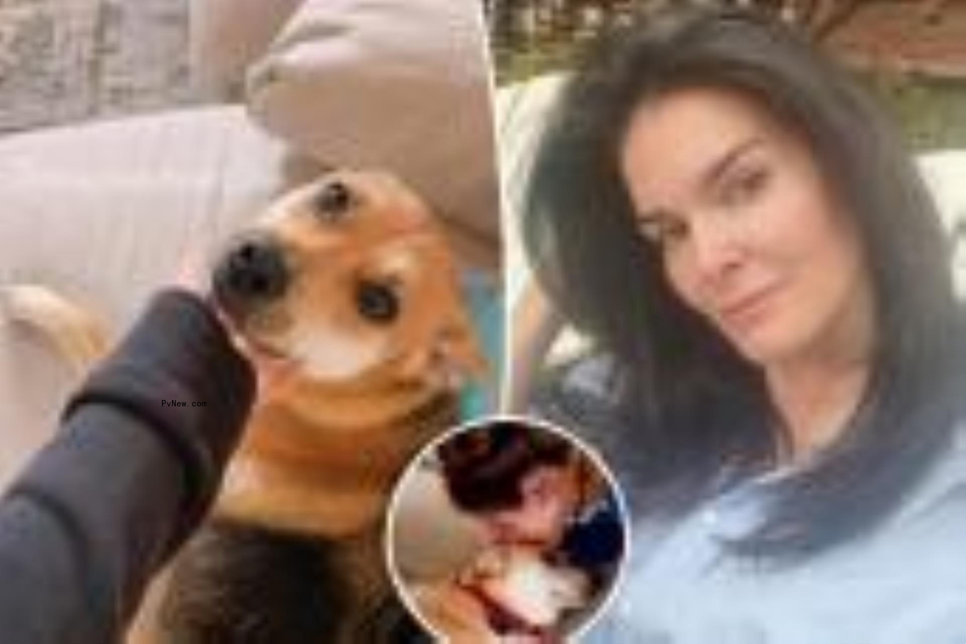 Angie Harmon and dog
