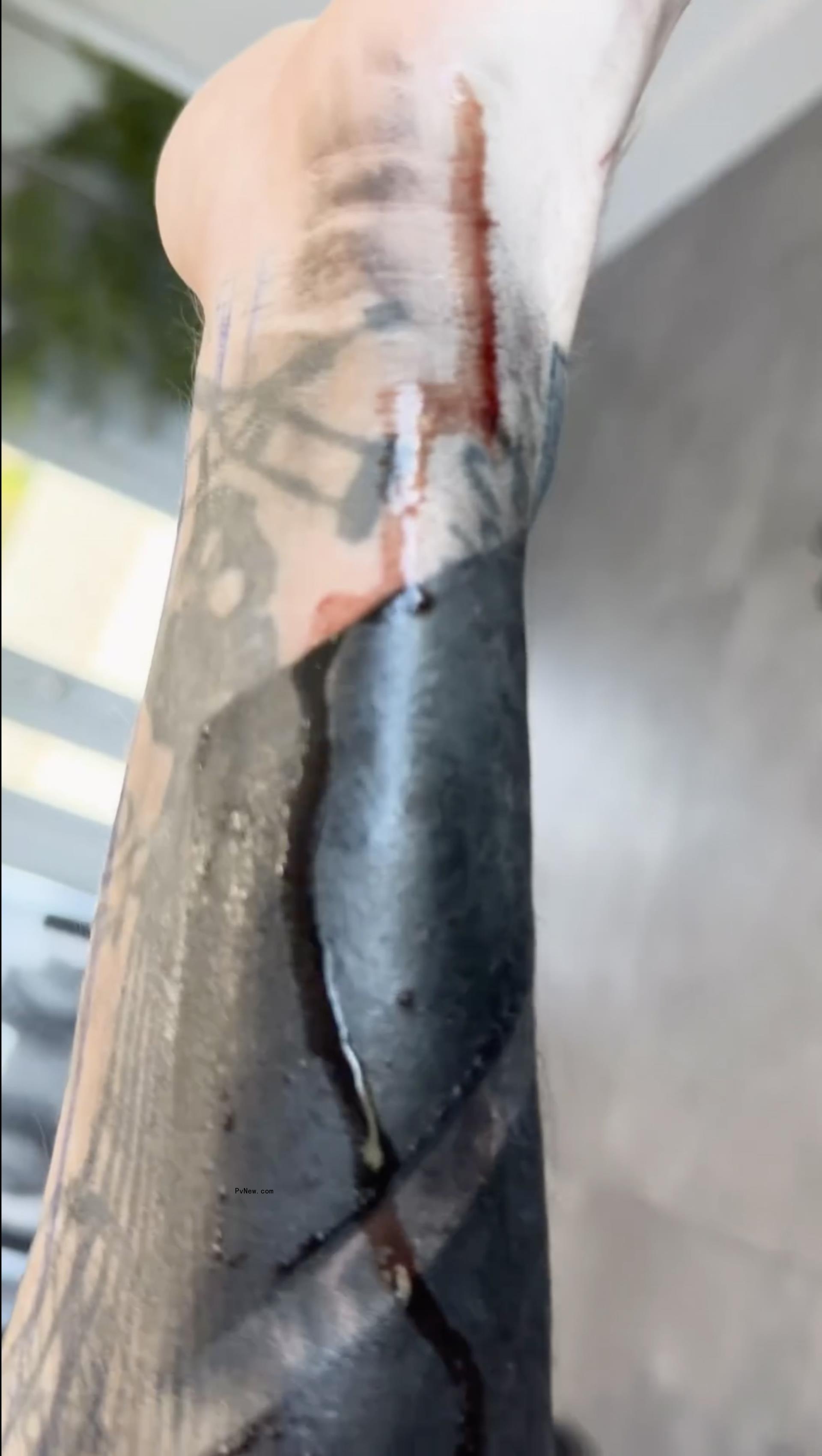 Machine Gun Kelly tattoo process video.