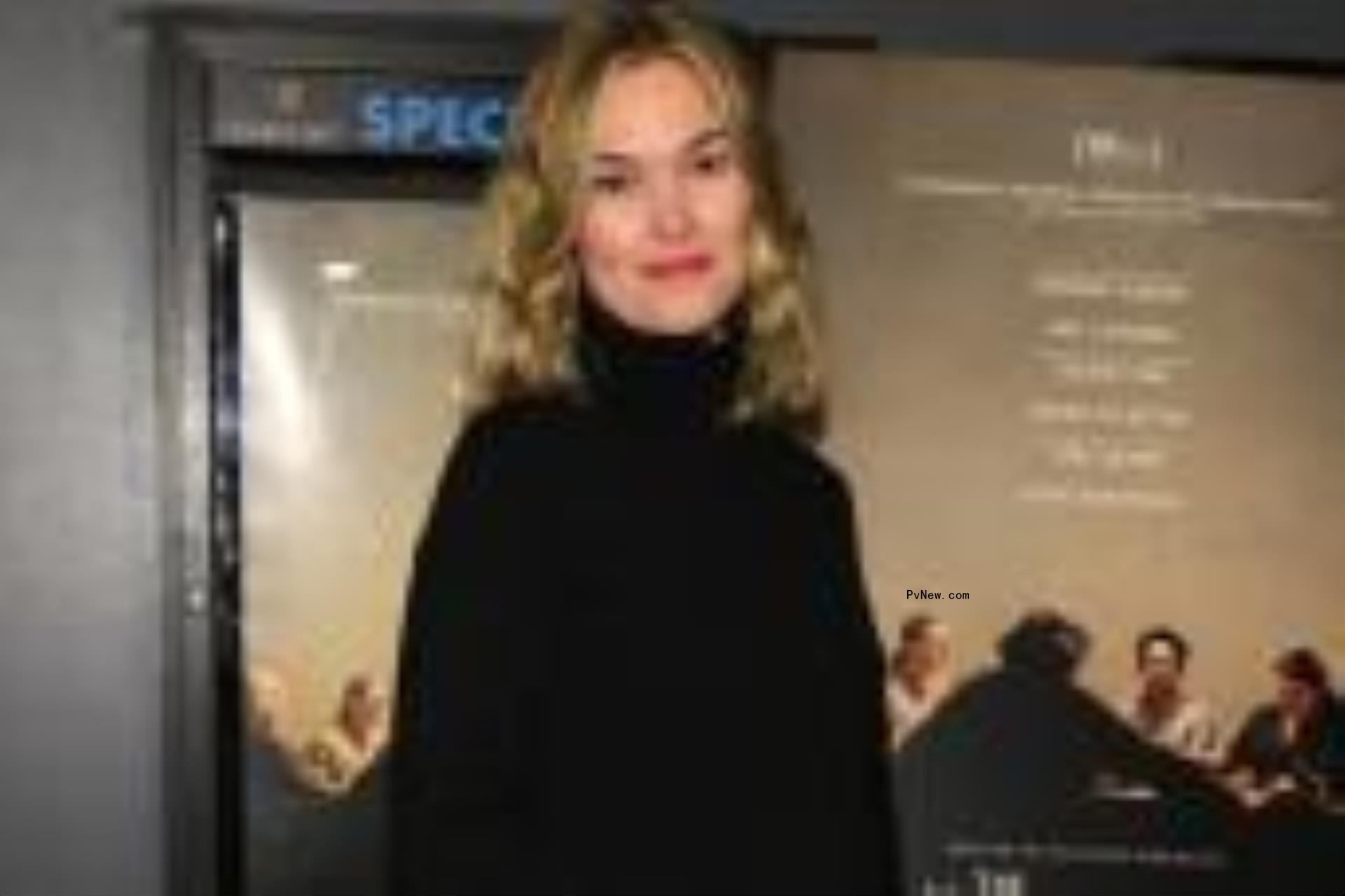 Pregnant Julia Stiles cradles her baby bump in a black dress on a red carpet.