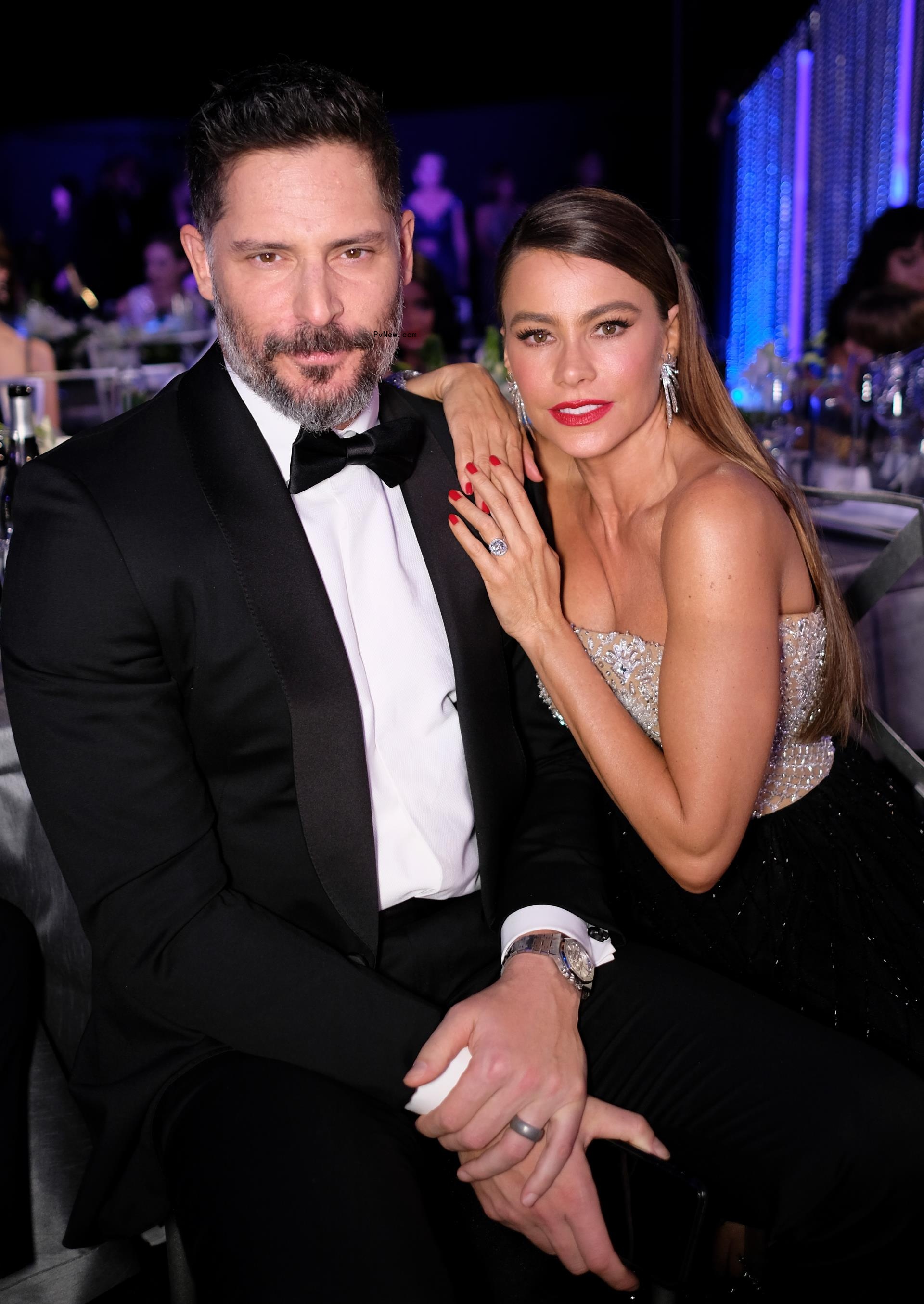 joe manganiello and sofia vergara