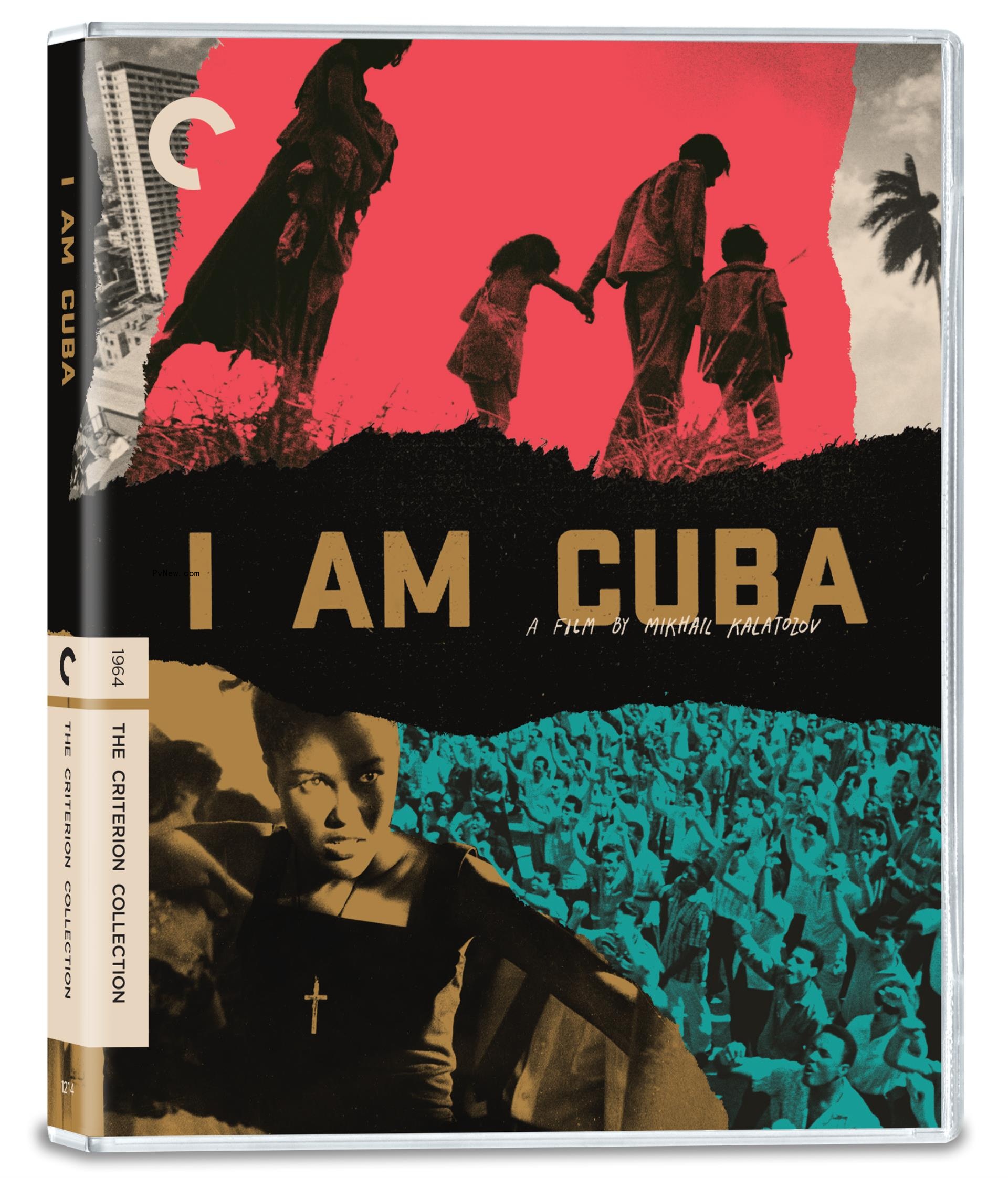 ‘Dune Part 2,’ ‘Chinatown,’ ‘Girlfight’ and the ‘Bad Lieutenant’ Arrive on 4K in May