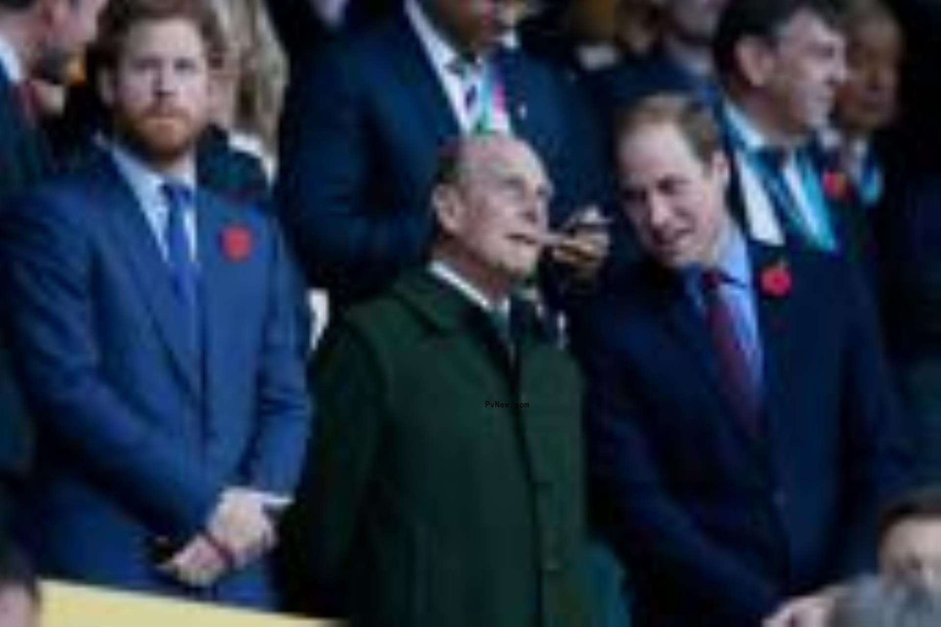 Princes Harry and William with their grandfather, Prince Philip at the Rugby World Cup final in 2015.