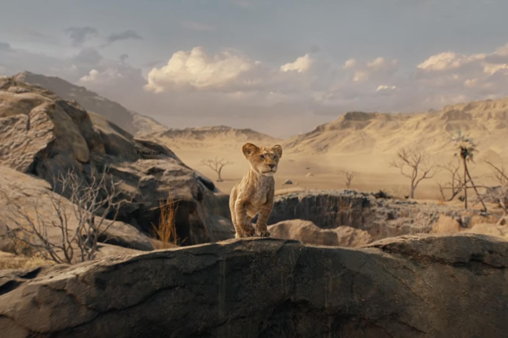 ‘Mufasa: The Lion King’ Trailer: Disney Prequel Follows Young Mufasa and Scar as Blue Ivy Carter Joins Voice Cast