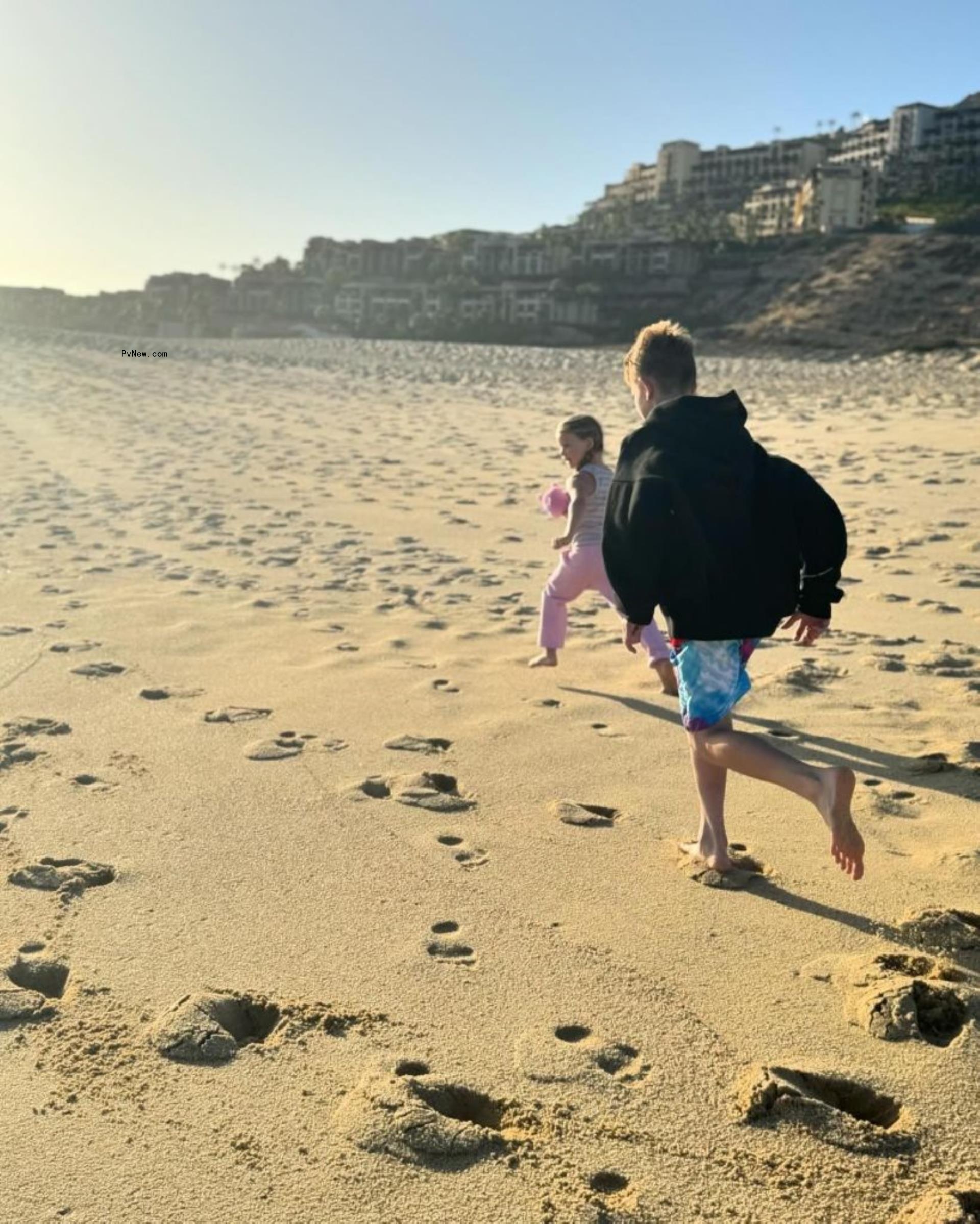 Ace and Birdie on the beach.