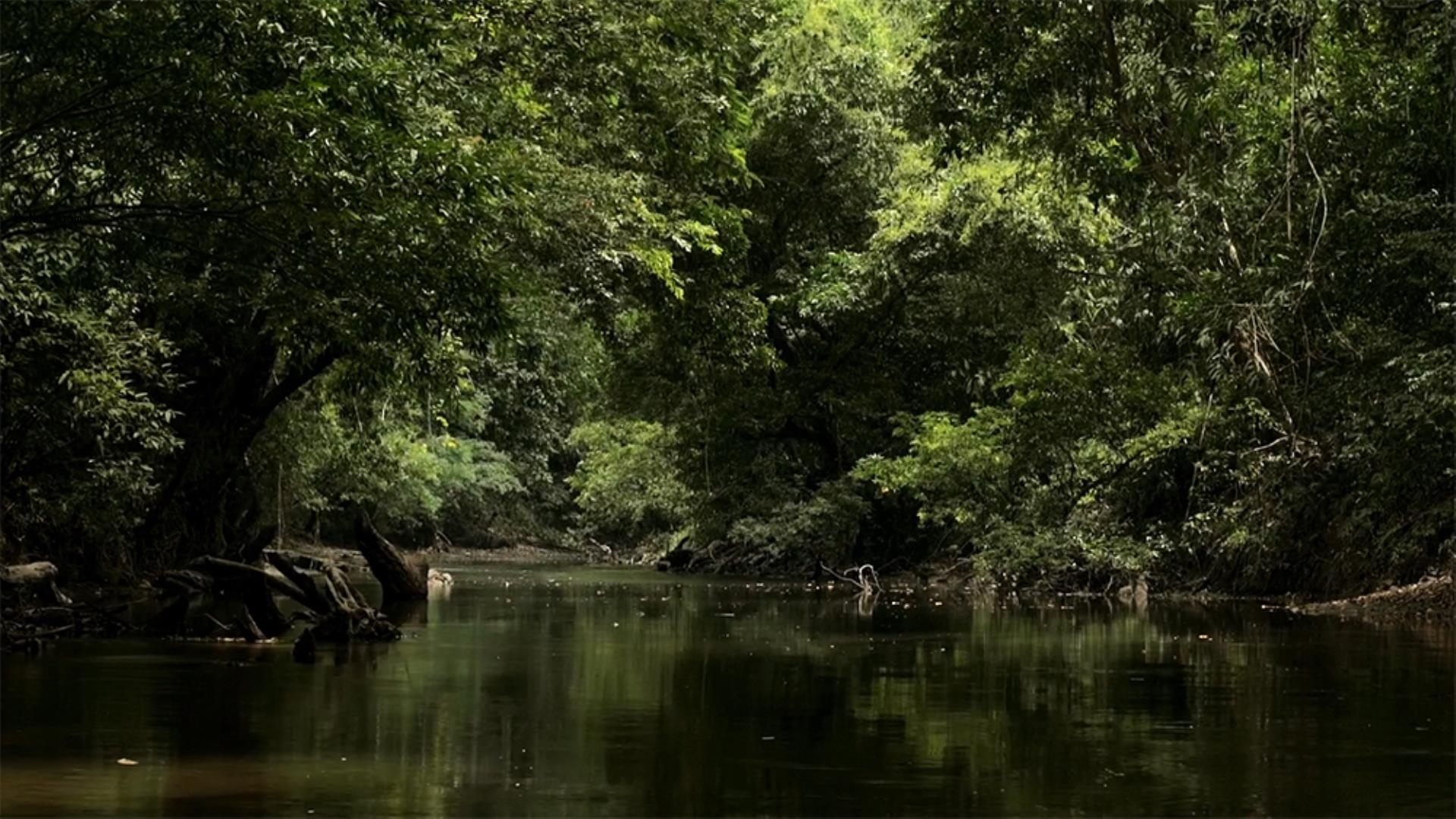 Argentina’s Compañia de Cine Swoops on Hot Docs Title ‘Wild Gleaming Space,’ Helmed by Mauro Colombo, Produced by Oscar-Shortlisted Abner Benaim