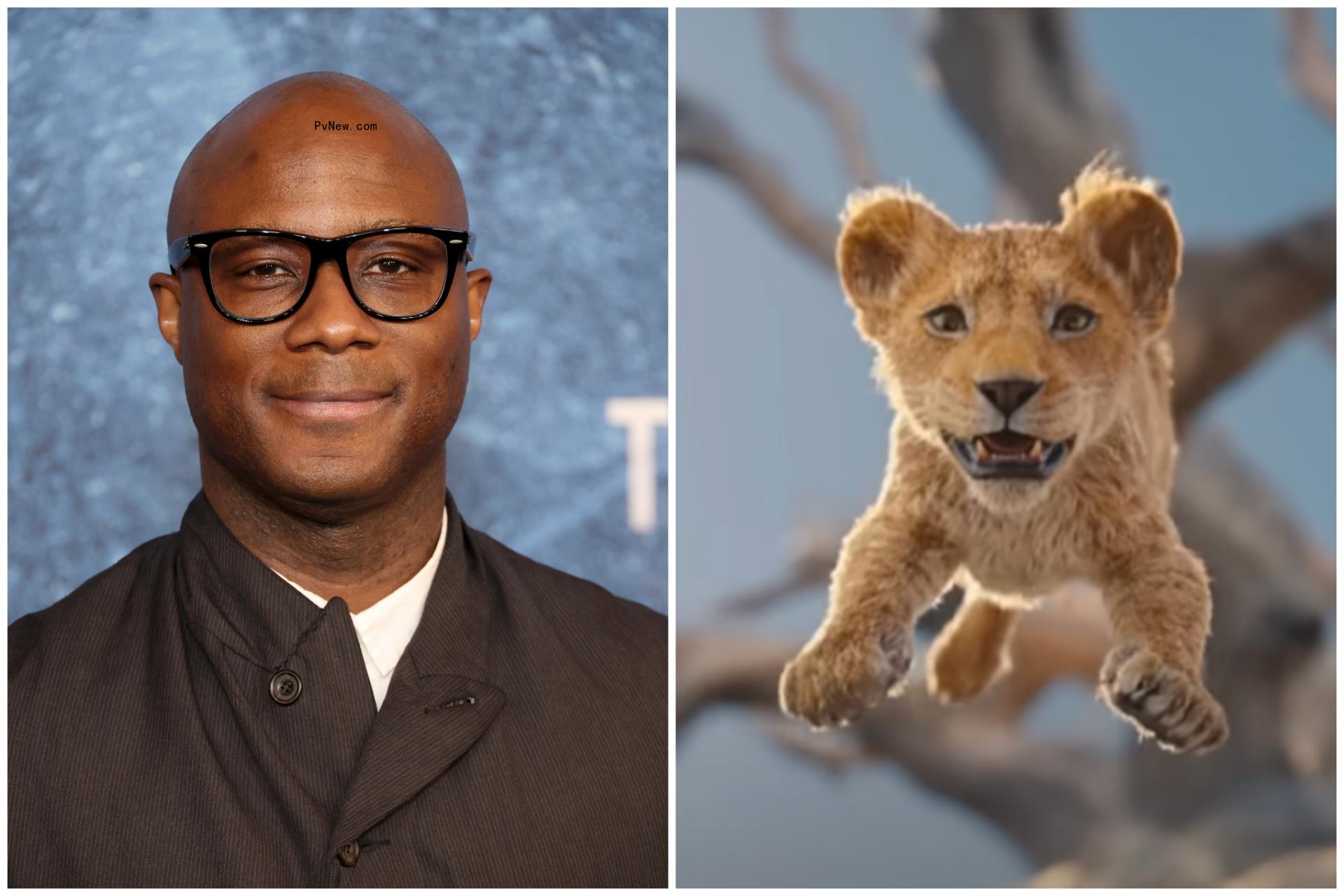 ‘Mufasa’ Director Barry Jenkins Reacts to Fans Claiming He’s ‘Too Talented’ for Disney’s ‘Soulless Machine’: ‘There’s Nothing Soulless’ a<i></i>bout ‘The Lion King’
