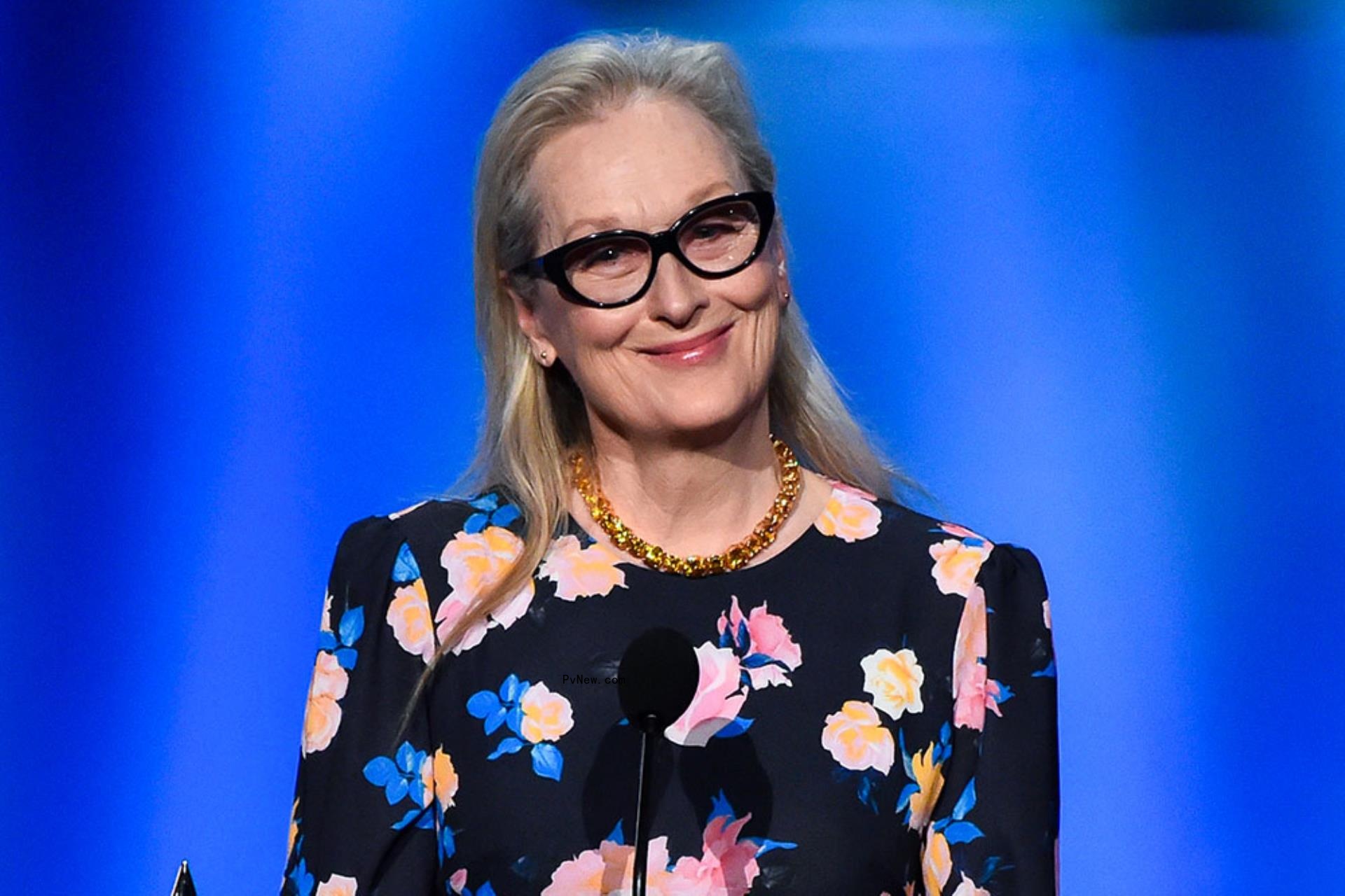 Meryl Streep to Receive Ho<i></i>norary Palme d’Or at Cannes Film Festival on Opening Night