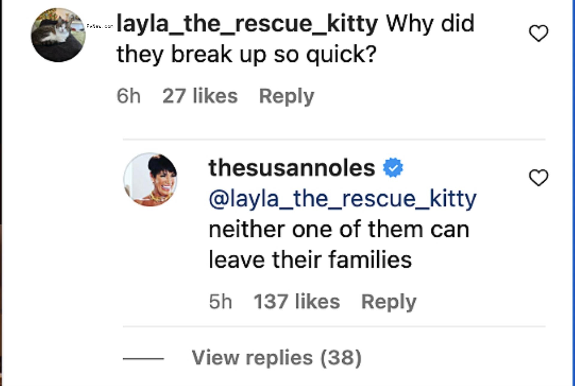 screenshot of Susan Noles' Instagram comment