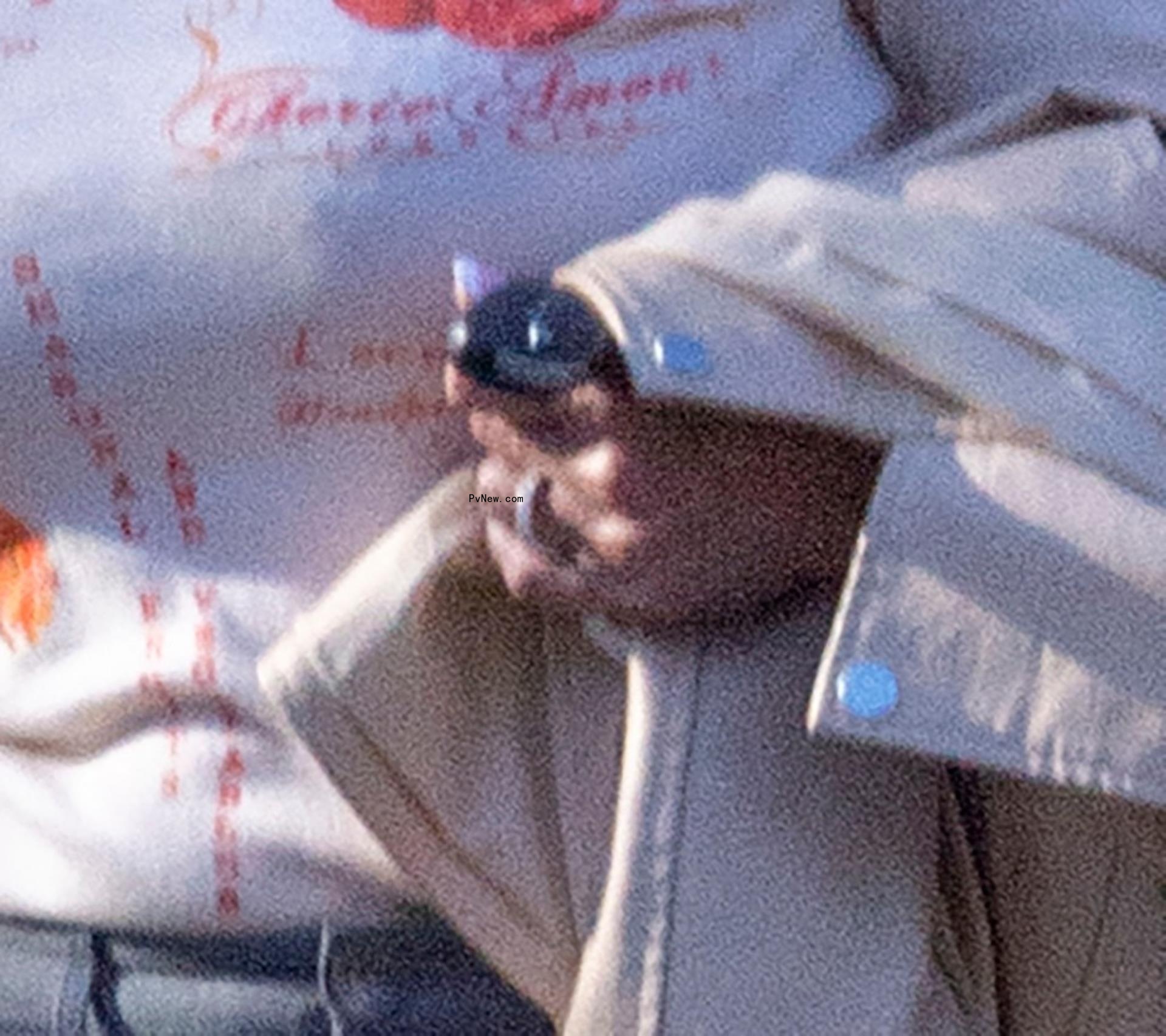 Theresa Nist wedding band