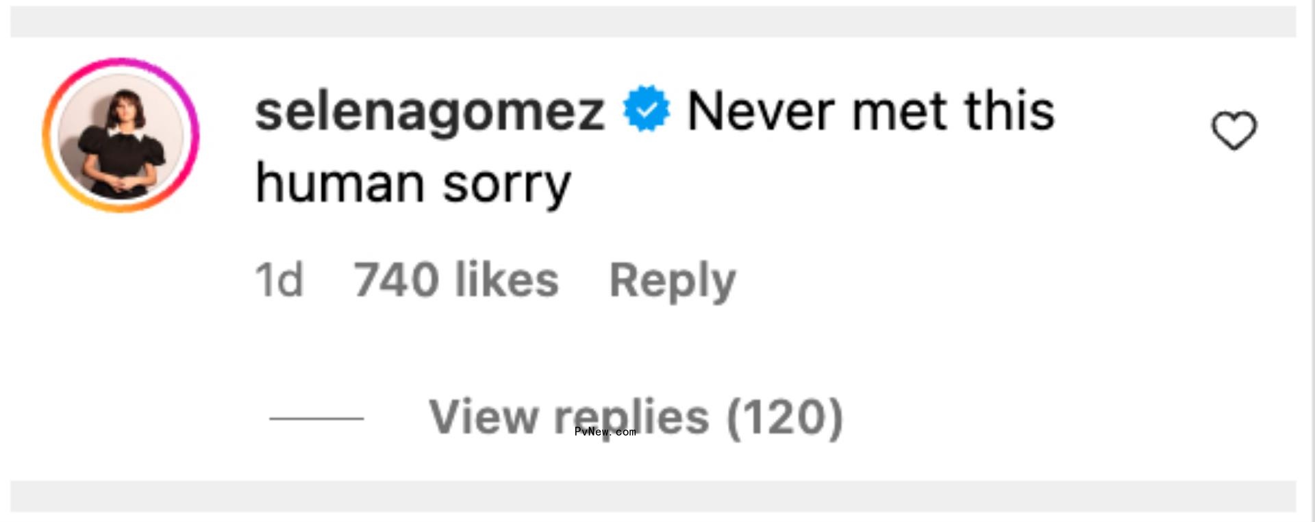 Selena Gome Instagram comment.