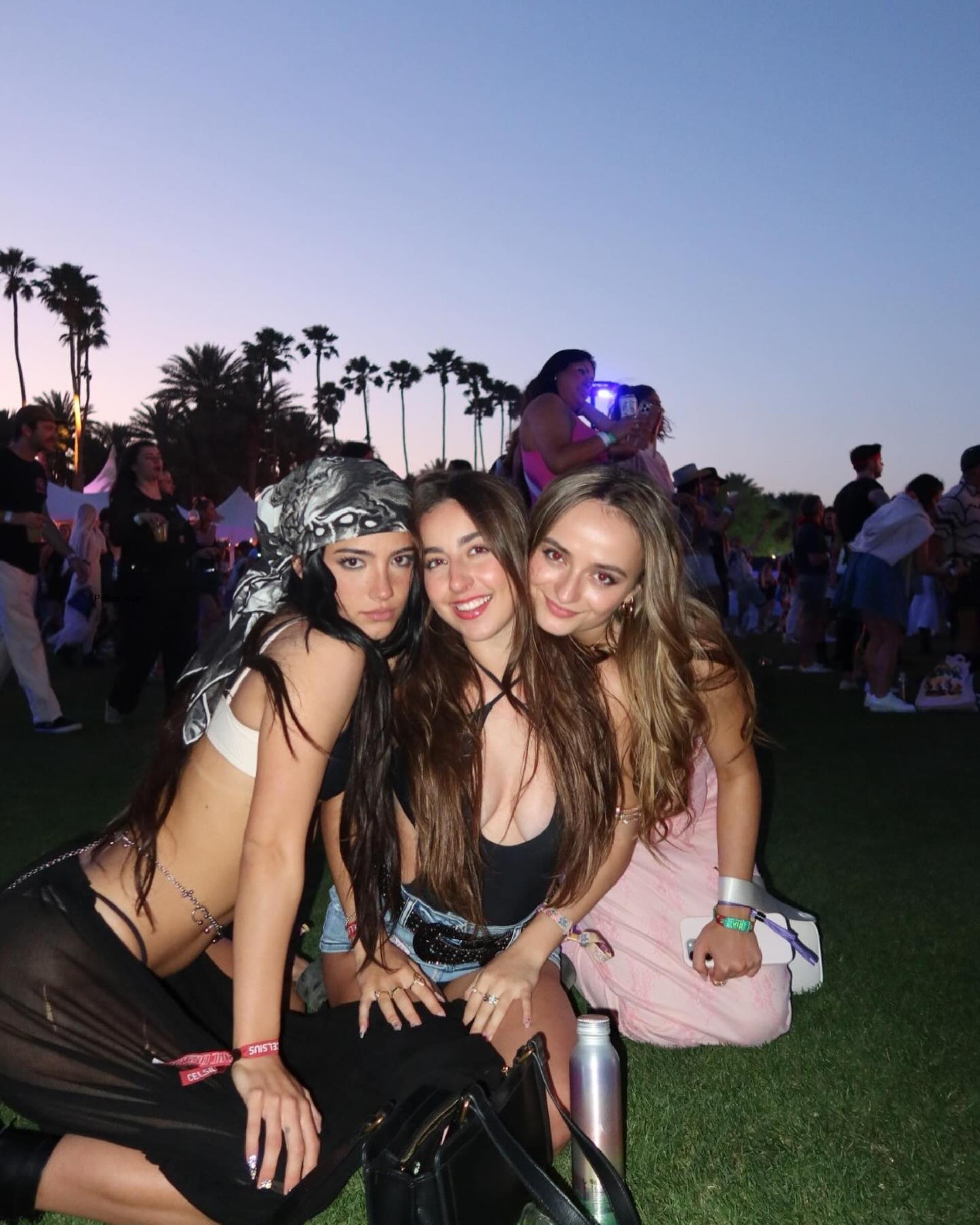 Charli D’Amelio rocks sheer butterfly-covered dress and combat boots to Coachella 2024