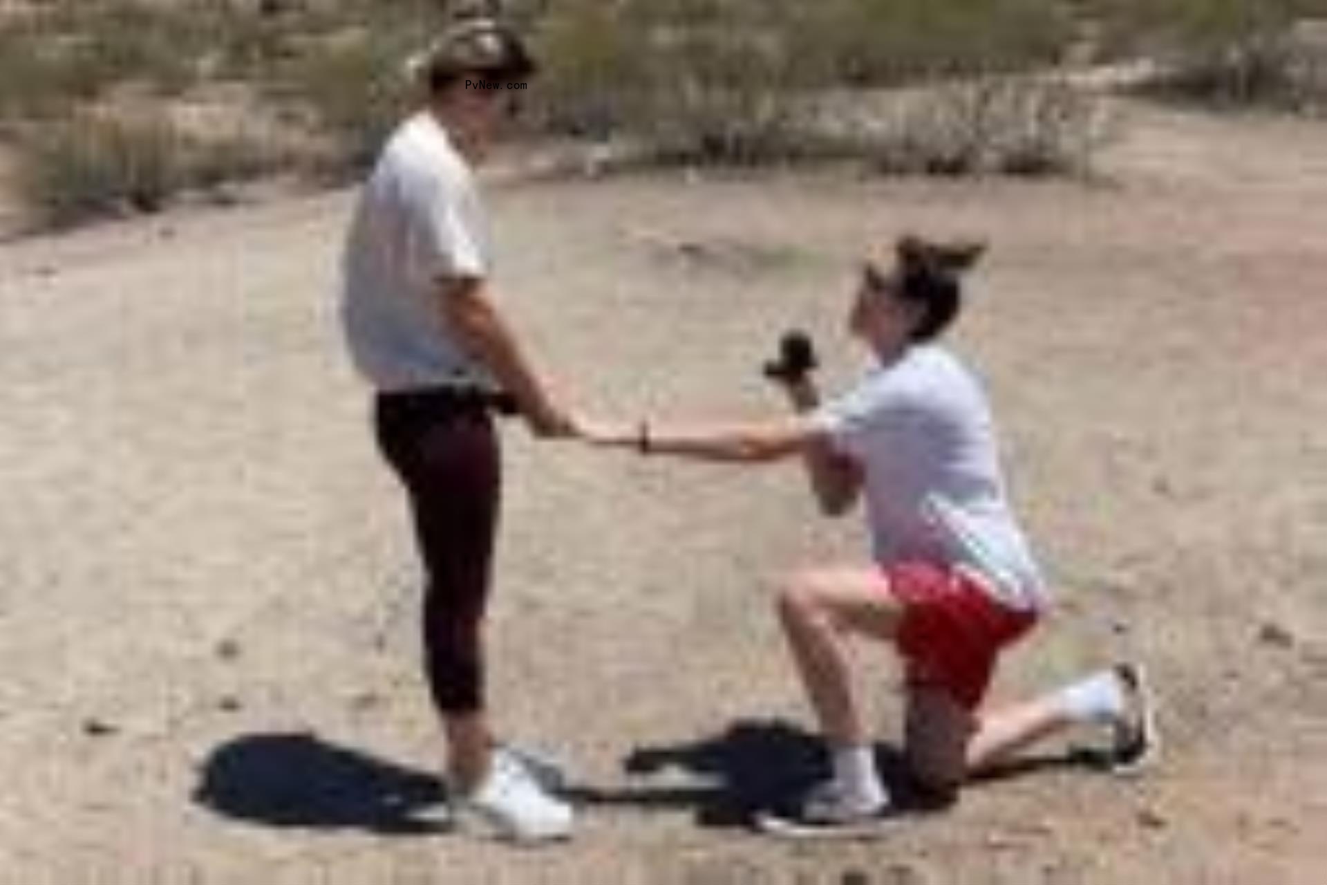 WNBA star Breanna Stewart is engaged to girlfriend and fellow basketball pro Marta Xargay