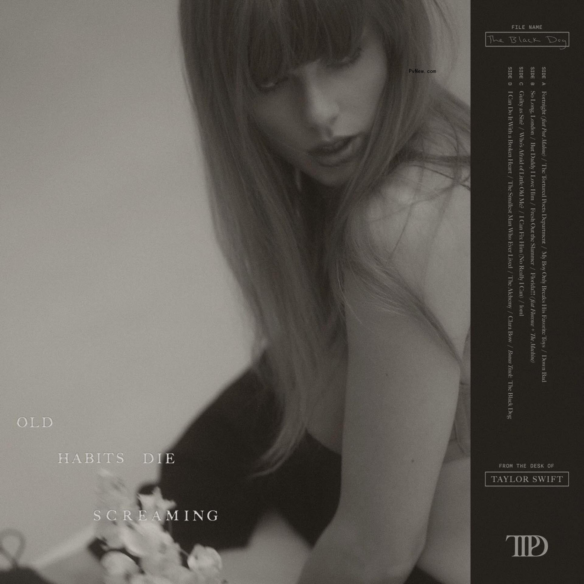 Art for Taylor Swift's 