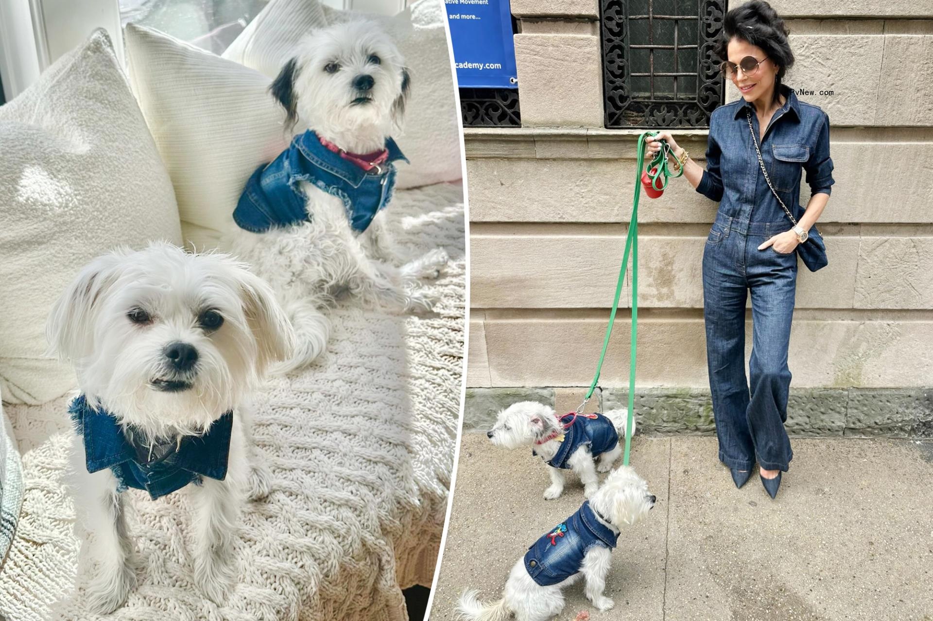 Bethenny Frankel coordinates with her dogs in denim outfits — and matching $10K Chanel purse