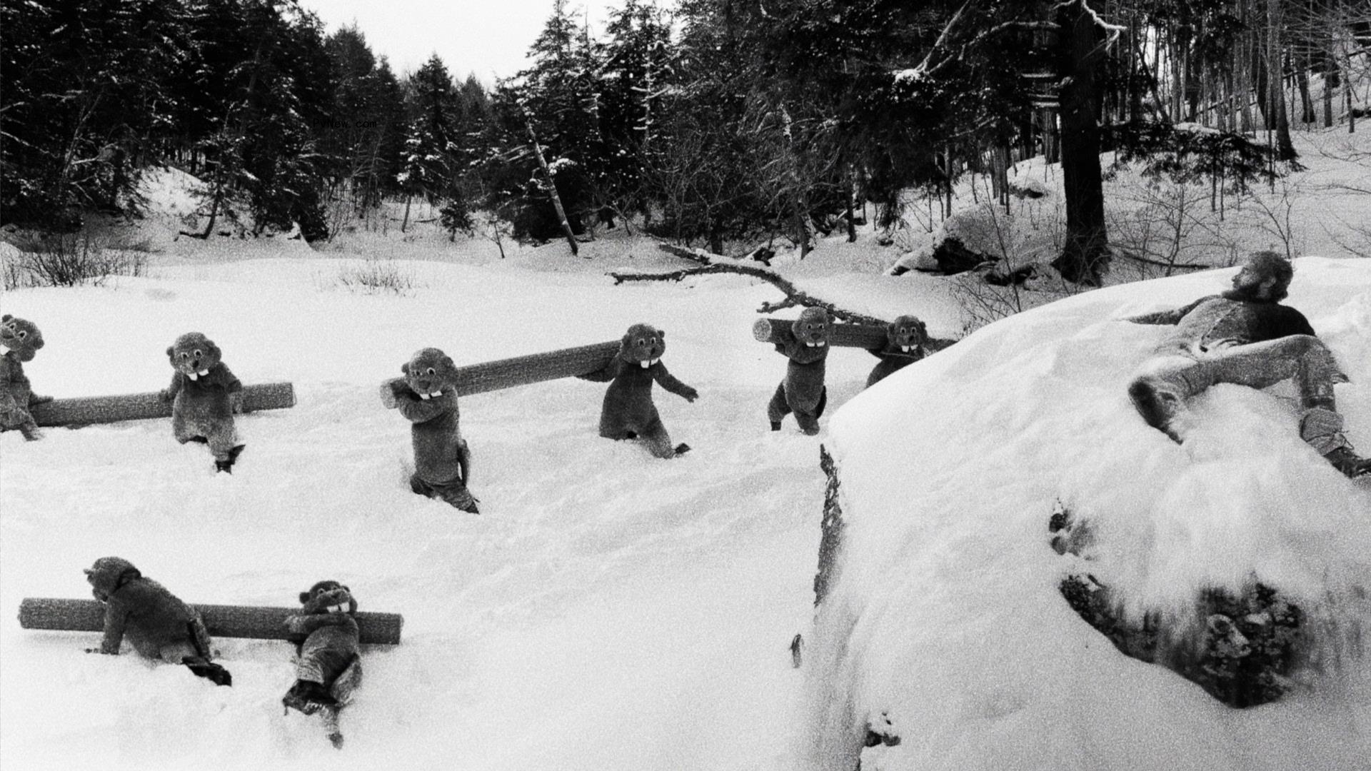 How the Slapstick, Black-and-White Movie ‘Hundreds of Beavers’ Took Over the Indie Scene With a $150,000 Budget, Sub-Zero Temperatures and More