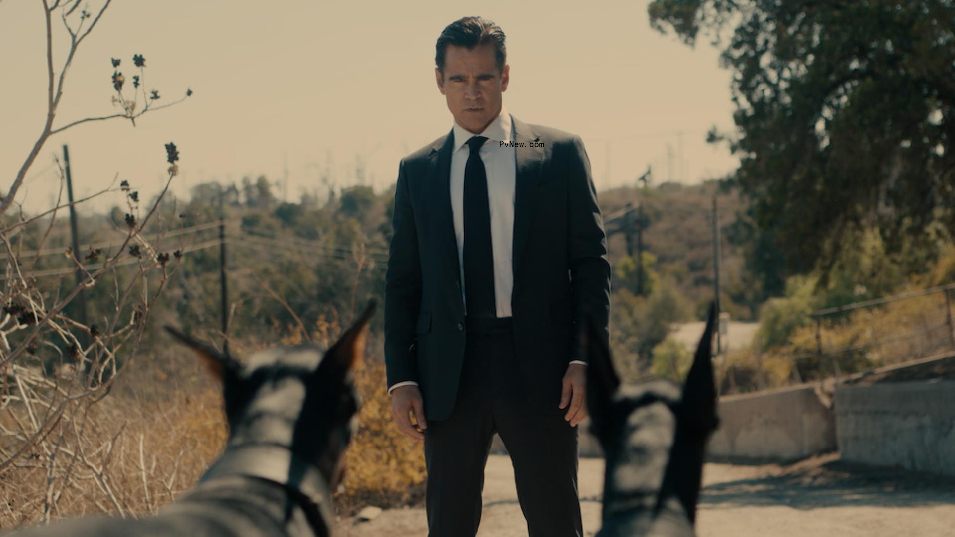 ‘Sugar’ Stars Colin Farrell, Amy Ryan Break Down That Absolutely Insane Episode 6 Twist