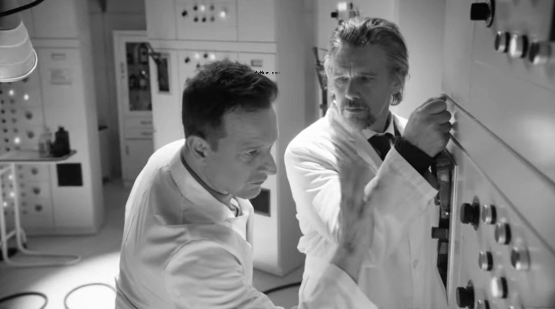 ethan hawke and josh charles fortnight music video