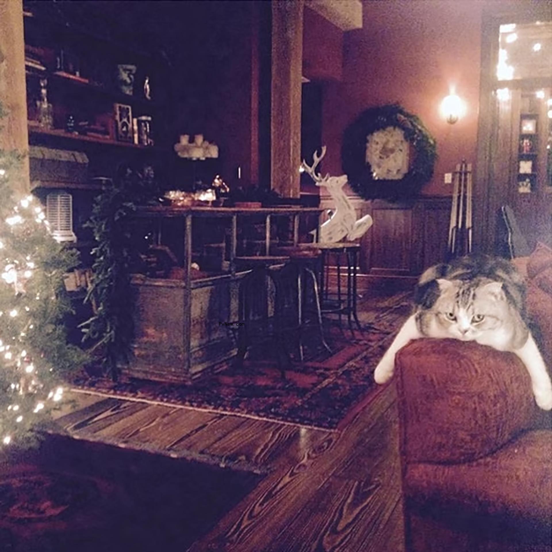 Taylor Swift's living room in New York City.