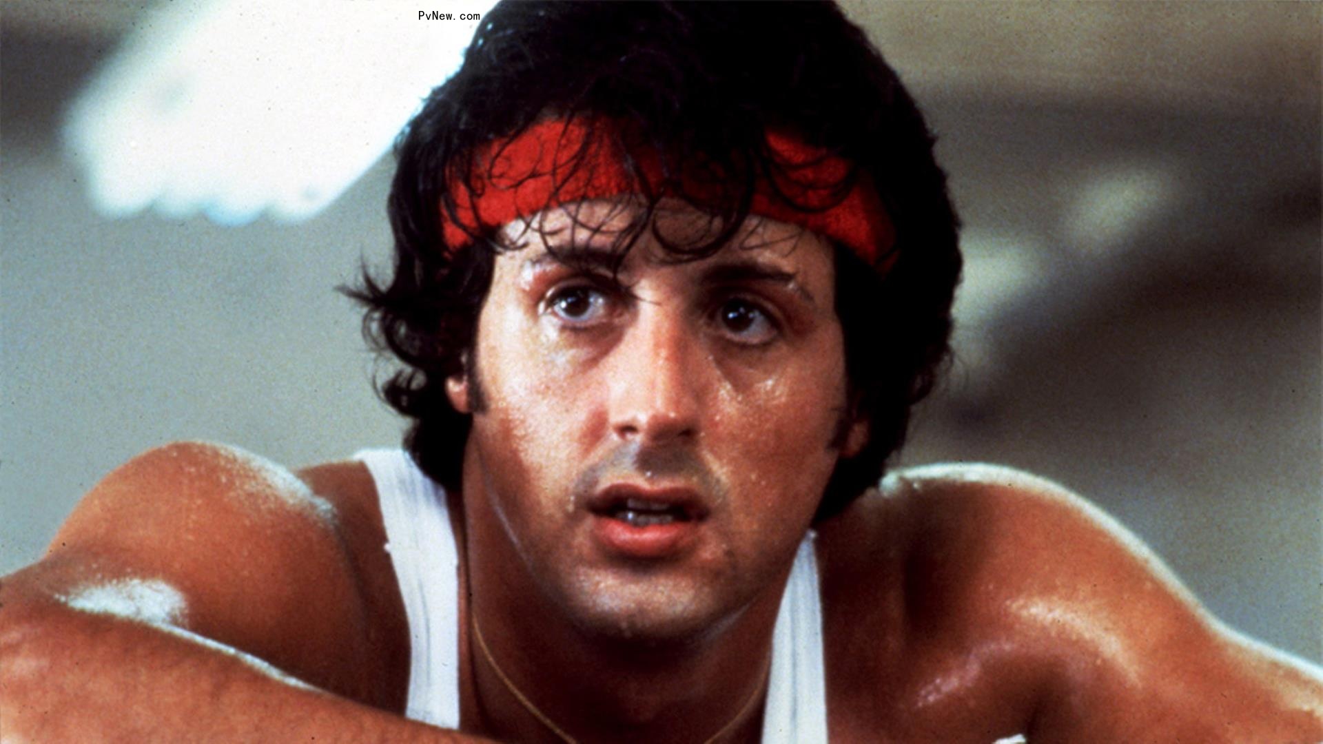 Peter Farrelly Directing ‘I Play Rocky,’ Inside Story of  Sylvester Stallone’s Star-Making Performance