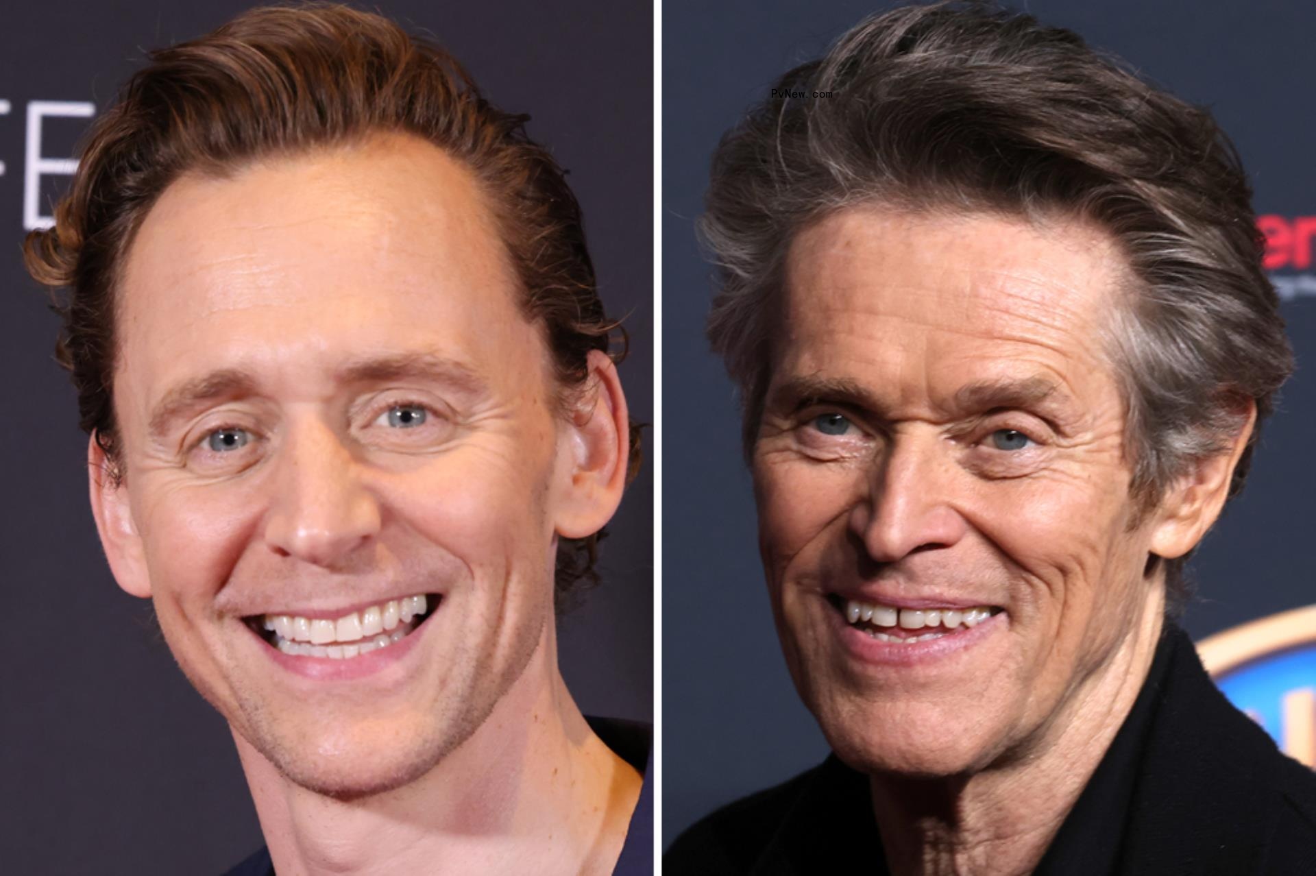 Tom Hiddleston, Willem Dafoe to Star in Biopic of Famed Everest Mountaineer Tenzing Norgay for See-Saw Films, Rocket Science