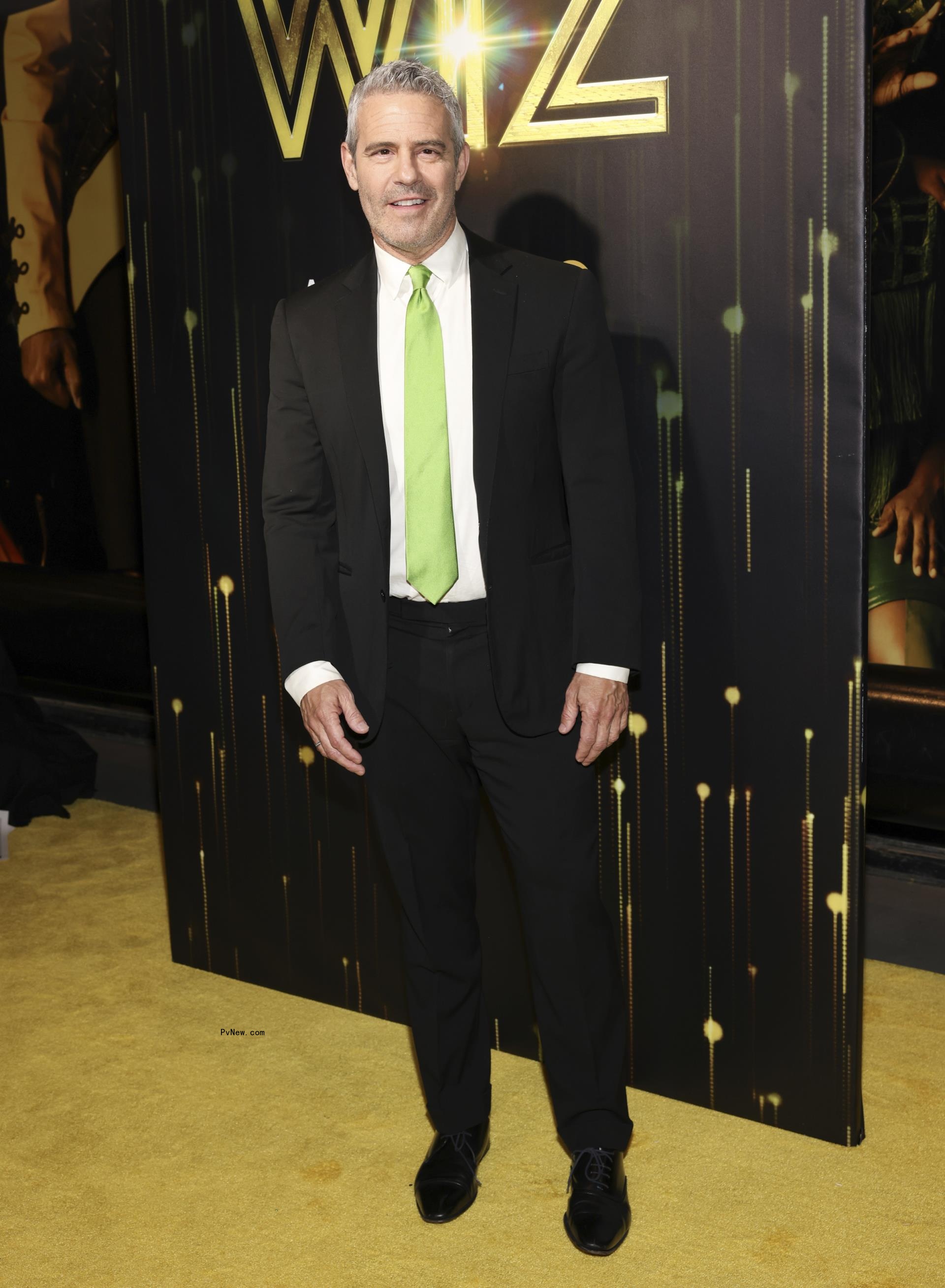 Kyle Richards, Andy Cohen, Lisa Vanderpump and Camille grammer posing