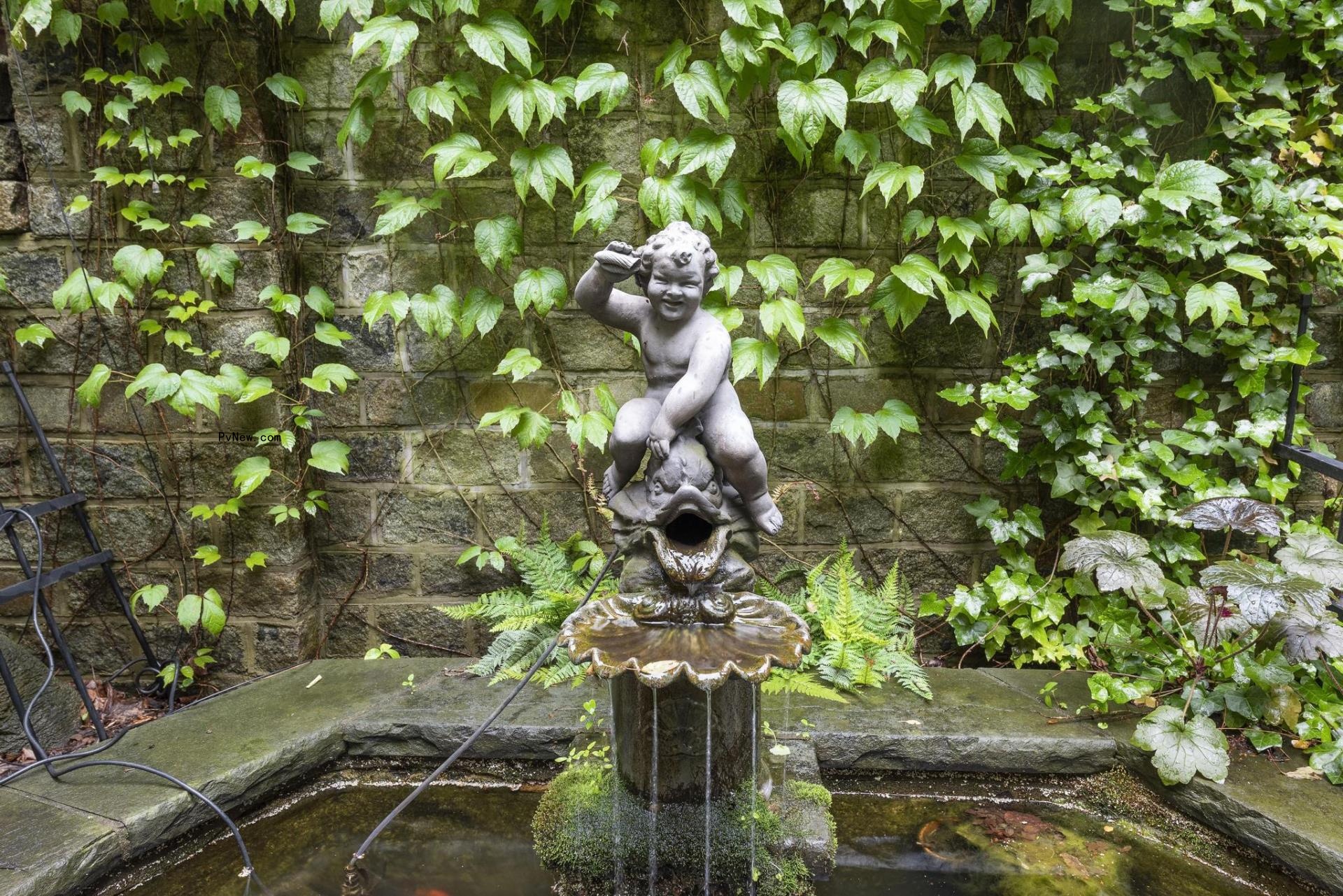 So<i></i>nja Morgan's fountain and koi pond in her NYC townhome.