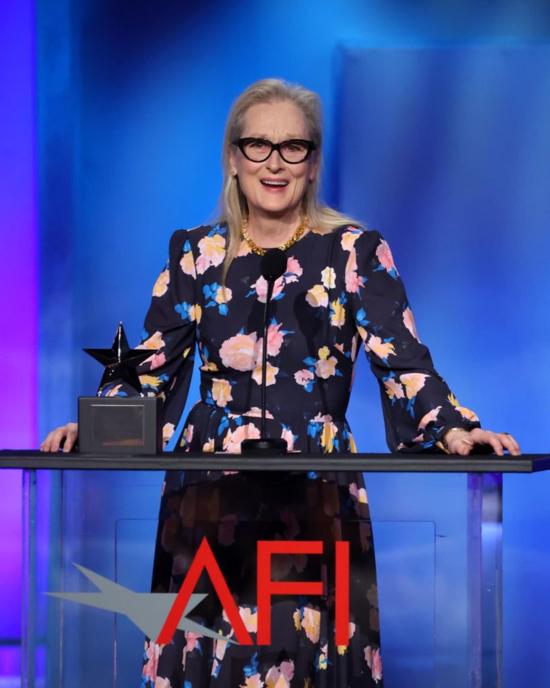 Meryl Streep at the 49th AFI Life Achievement Award: A Tribute To Nicole Kidman at Dolby Theatre.