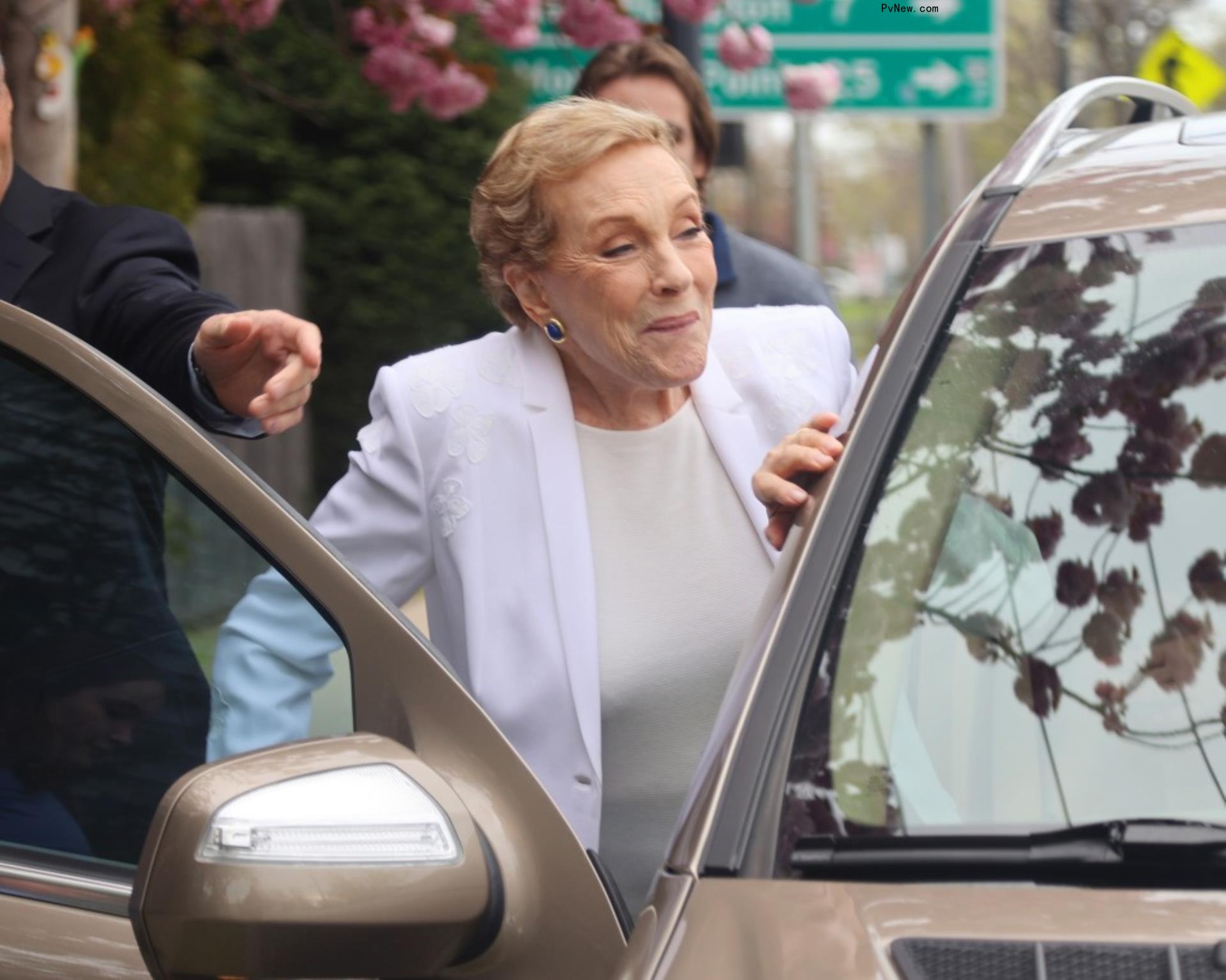 Julie Andrews