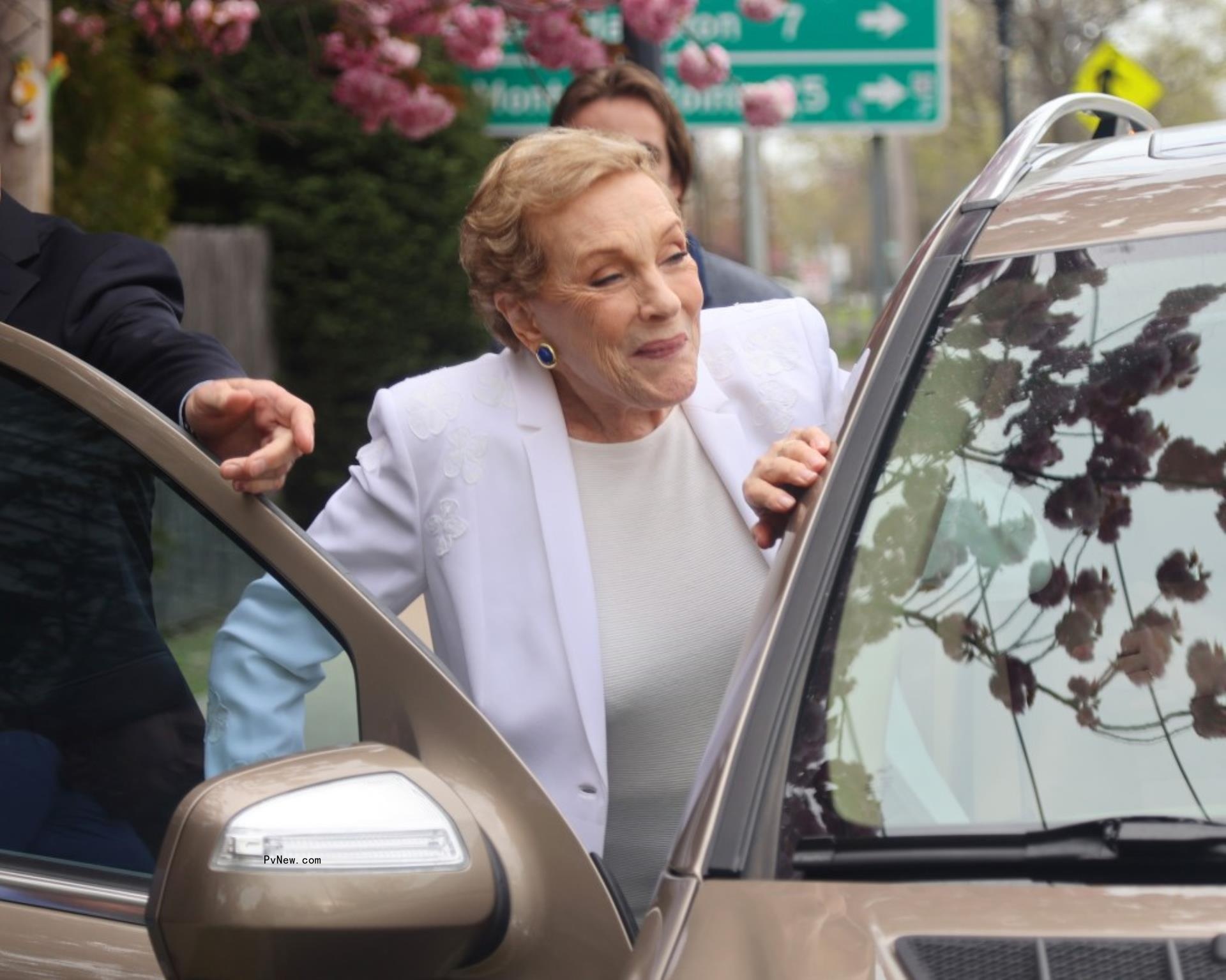 Julie Andrews