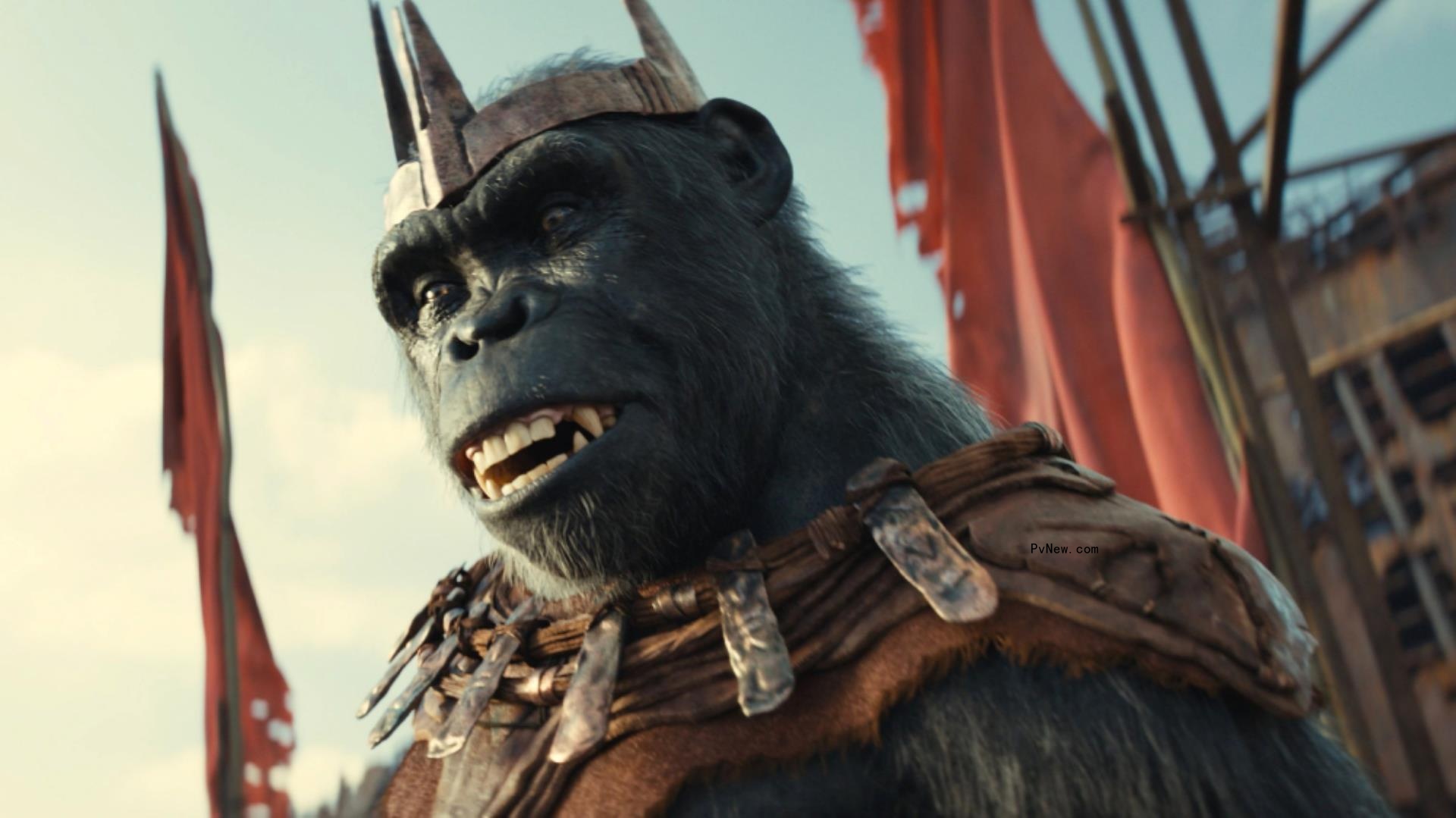 China Box Office: ‘Kingdom of the Planet of the Apes’ Opens on Top of Weekend Chart