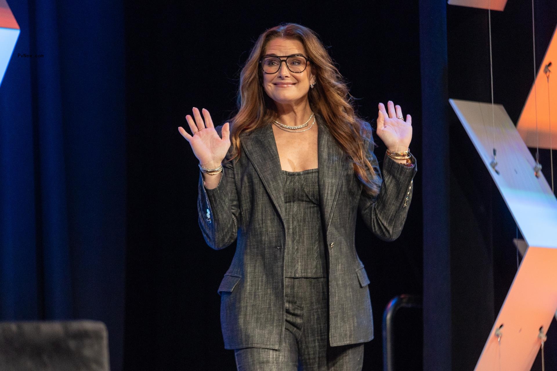 Brooke Shields o<i></i>nstage appearance