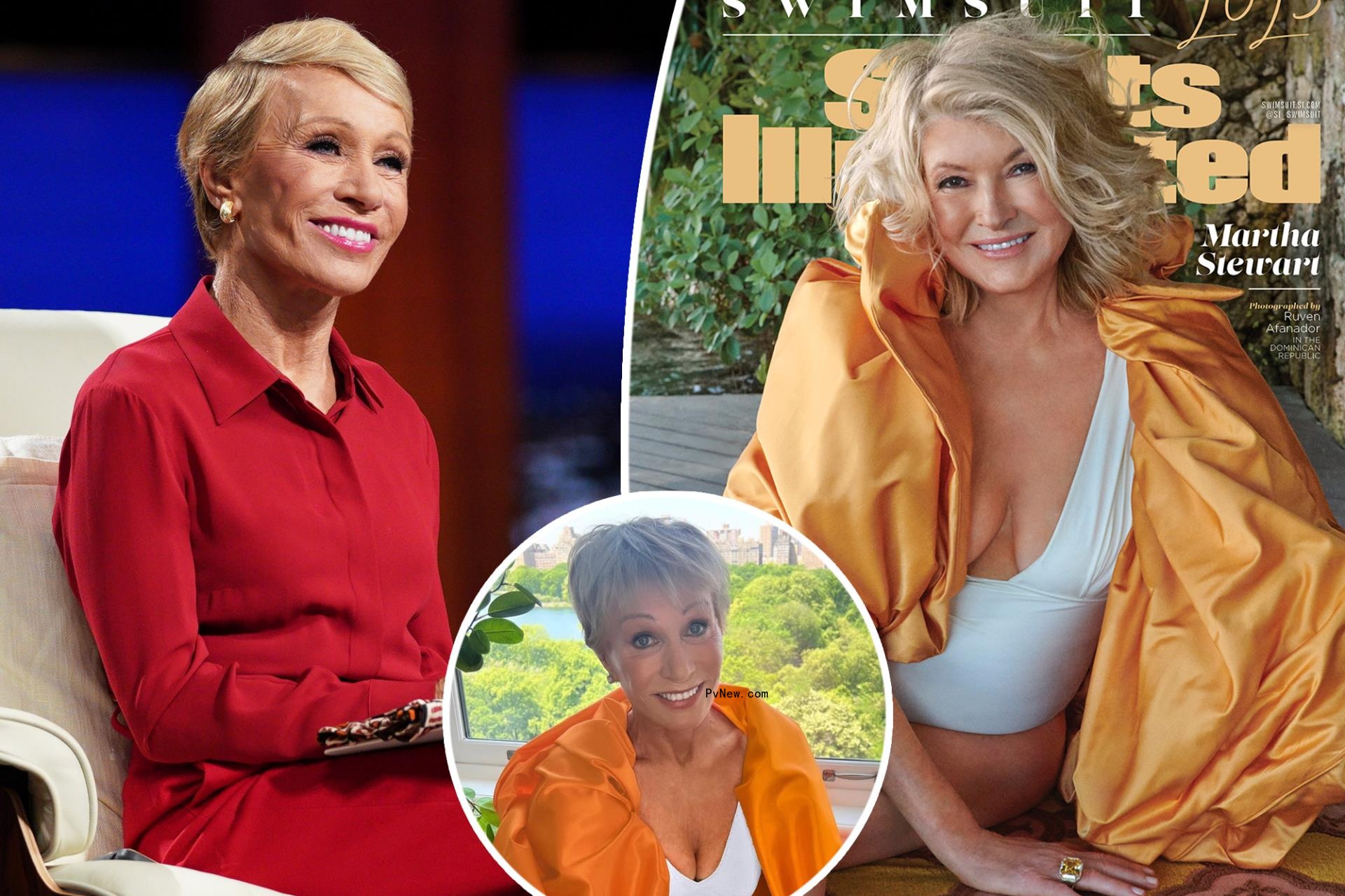 Martha Stewart, Barbara Corcoran