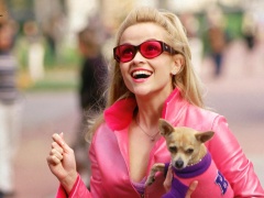 ‘Legally Blonde’ Prequel Series About Elle Woods’ High School Years Ordered at Amazon