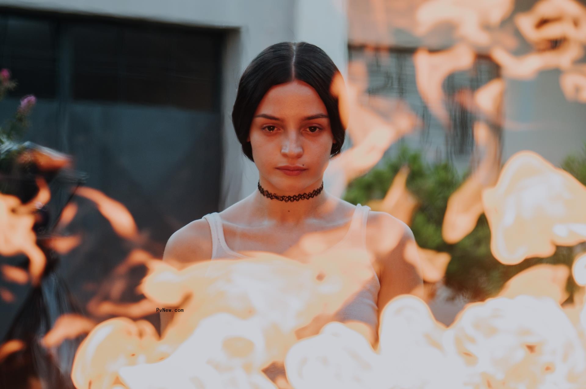 Catalo<i></i>nia Ups Internatio<i></i>nal Partnerships, a World-Class Genre Tradition