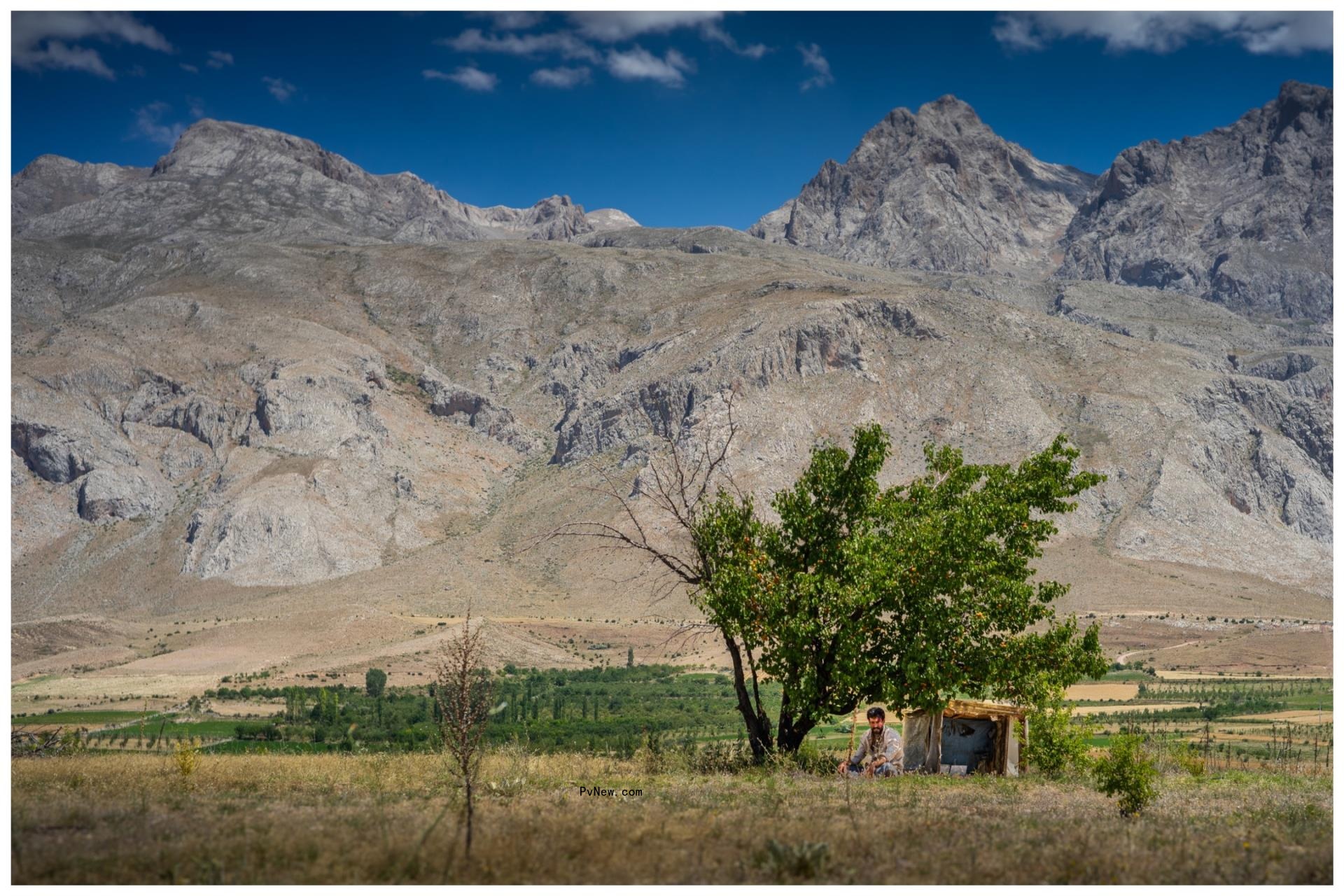 Best Friend Forever Acquires Alireza Khatami’s Thriller ‘The Things You Kill’