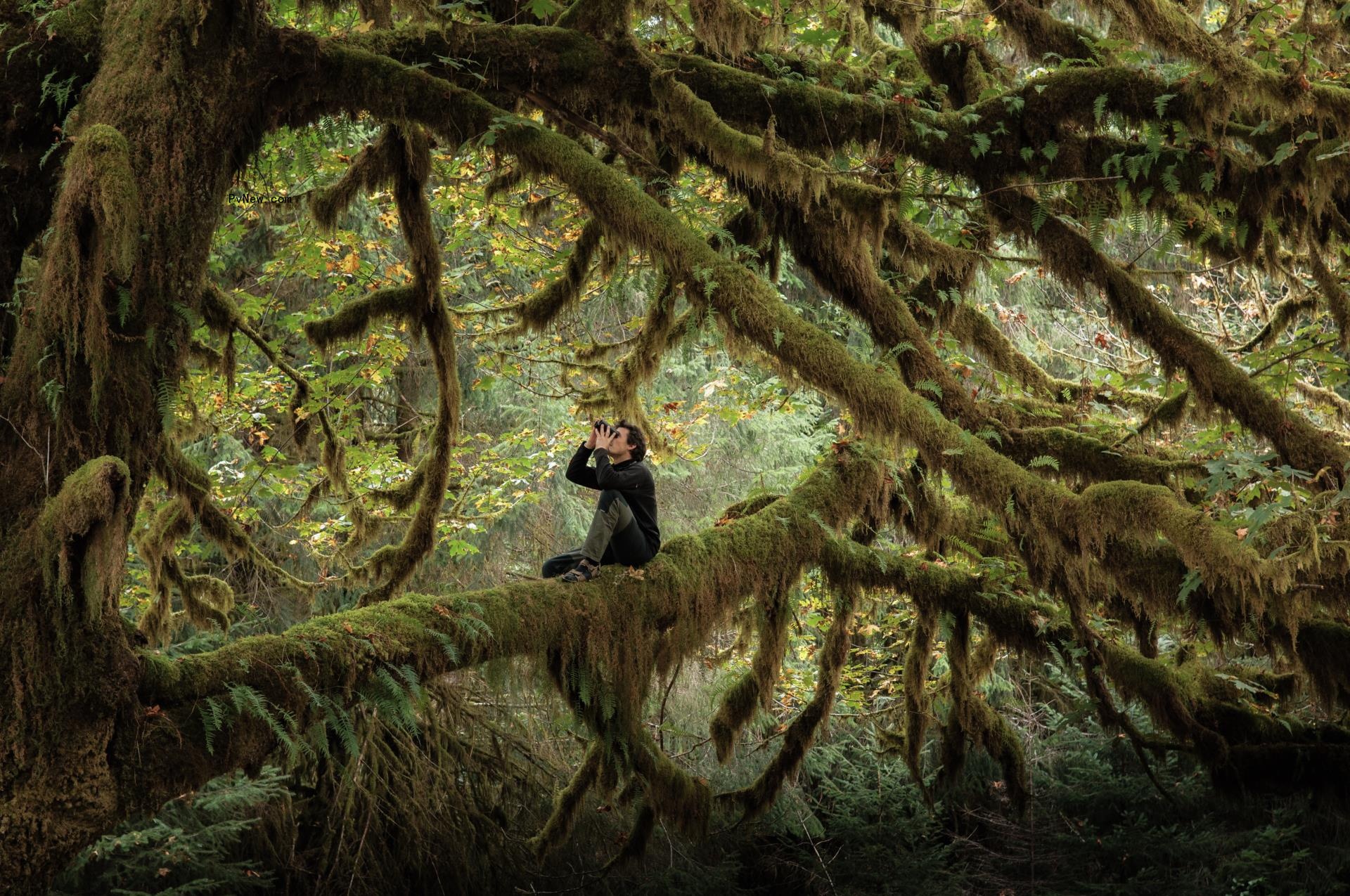 The Bureau Sales Boards ‘Whispering in the Woods,’ by Cesar-winning Director of ‘The Velvet Queen’