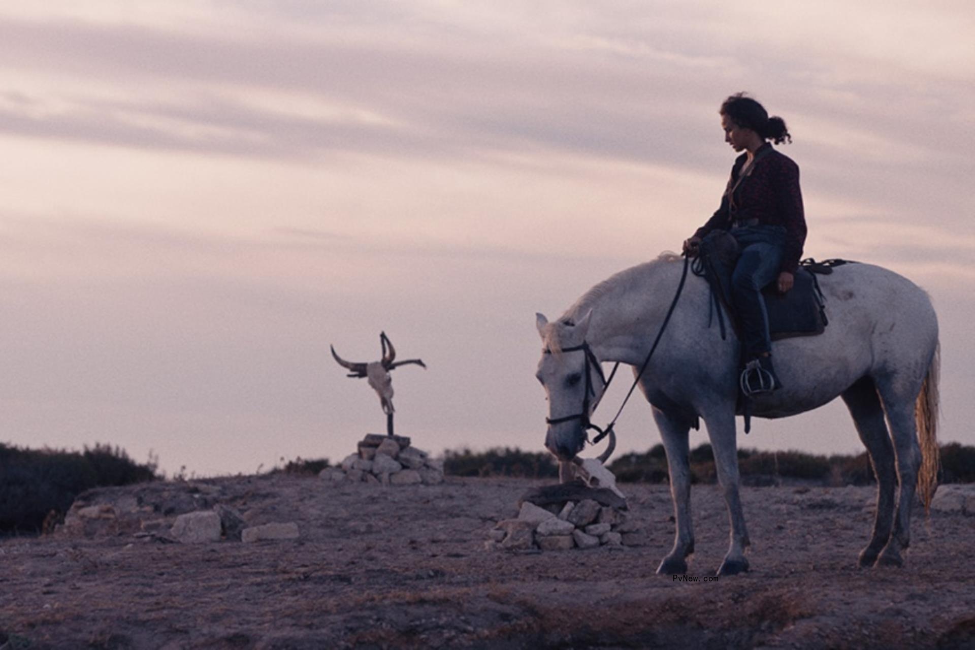 Bull Running Drama ‘Animale,’ Cannes Critics’ Week Closing Night Film, Unveils First Clip