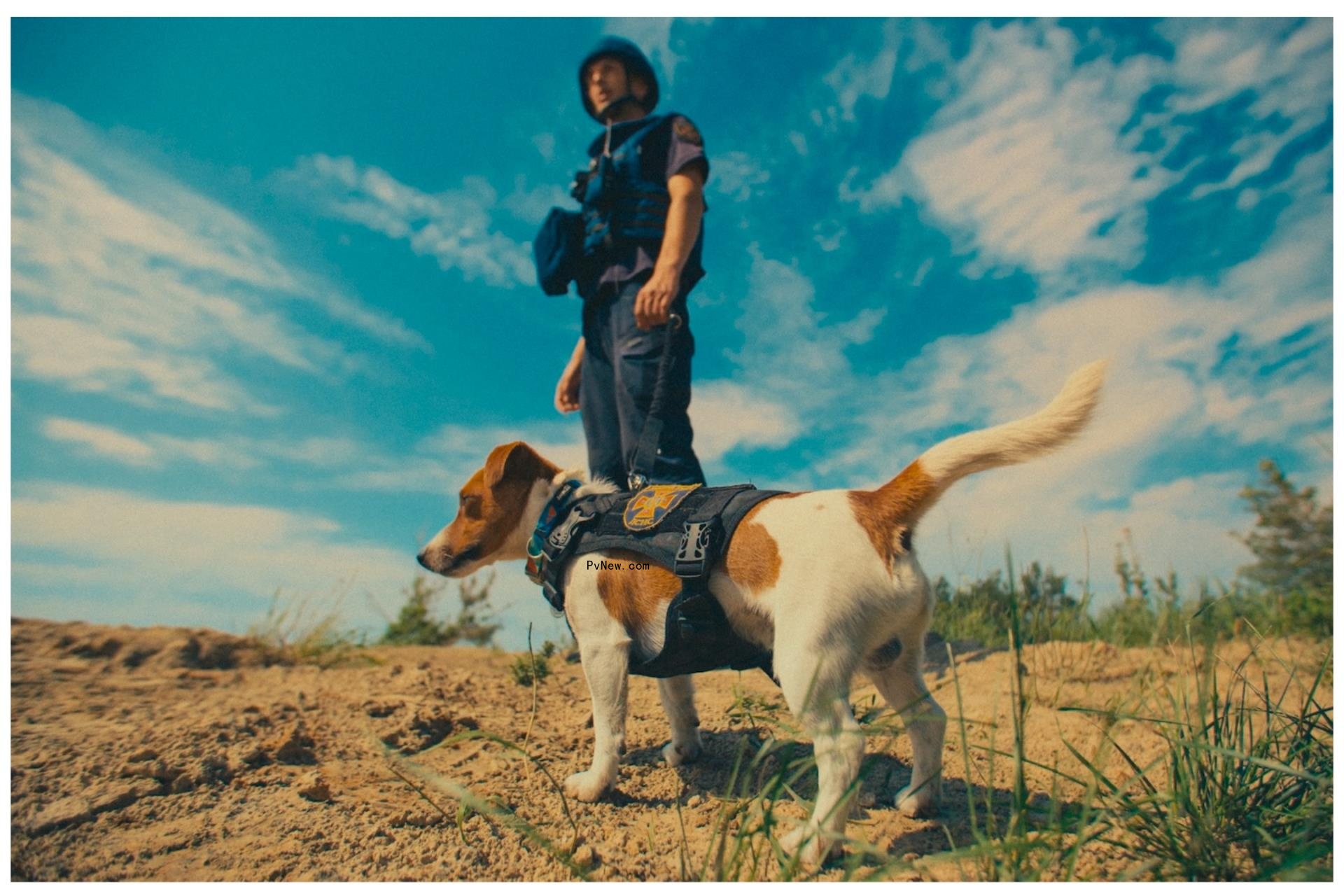 ‘Us, Our Pets and the War,’ docu<i></i>mentary a<i></i>bout Animals in Ukraine, Acquired by Autlook