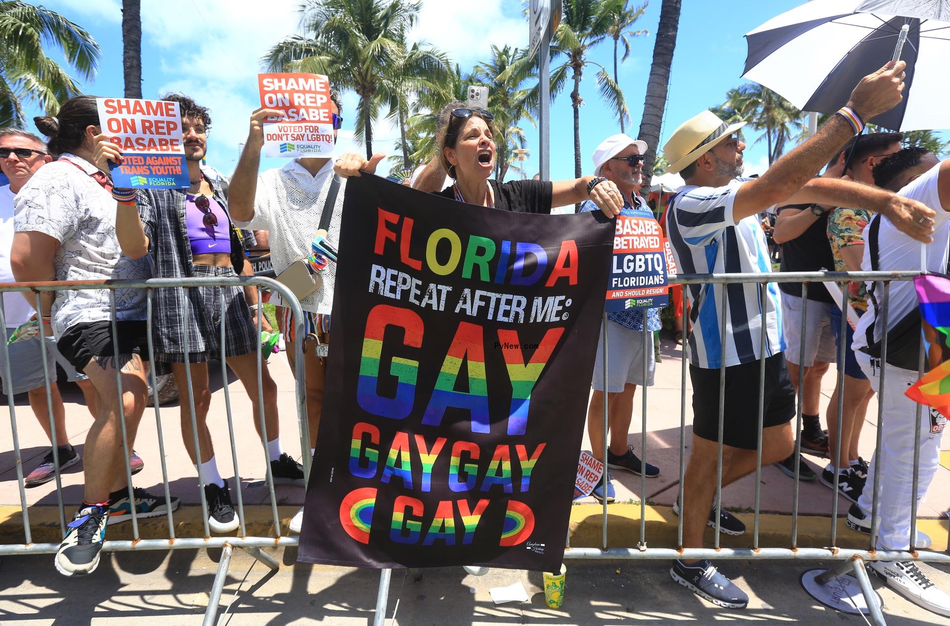Don't Say Gay bill protest