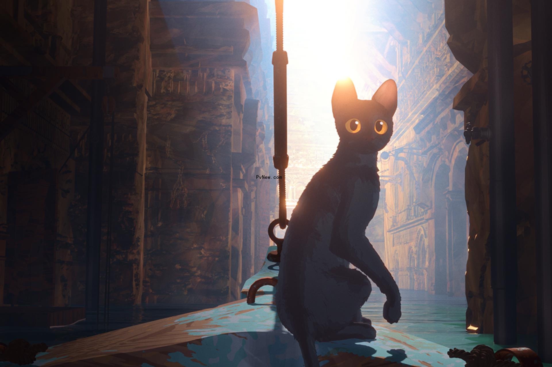 Cannes-Bound ­Animation ‘Flow’ Readies for Cat-Astrophe, Debuts Image: ‘Our Animators Were Watching Cat Videos for Work!’