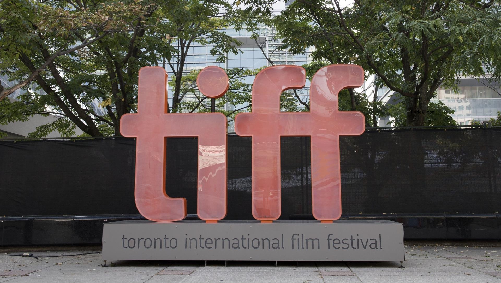 TIFF to Launch Official Co<i></i>ntent Market, Beginning With 2026 Festival