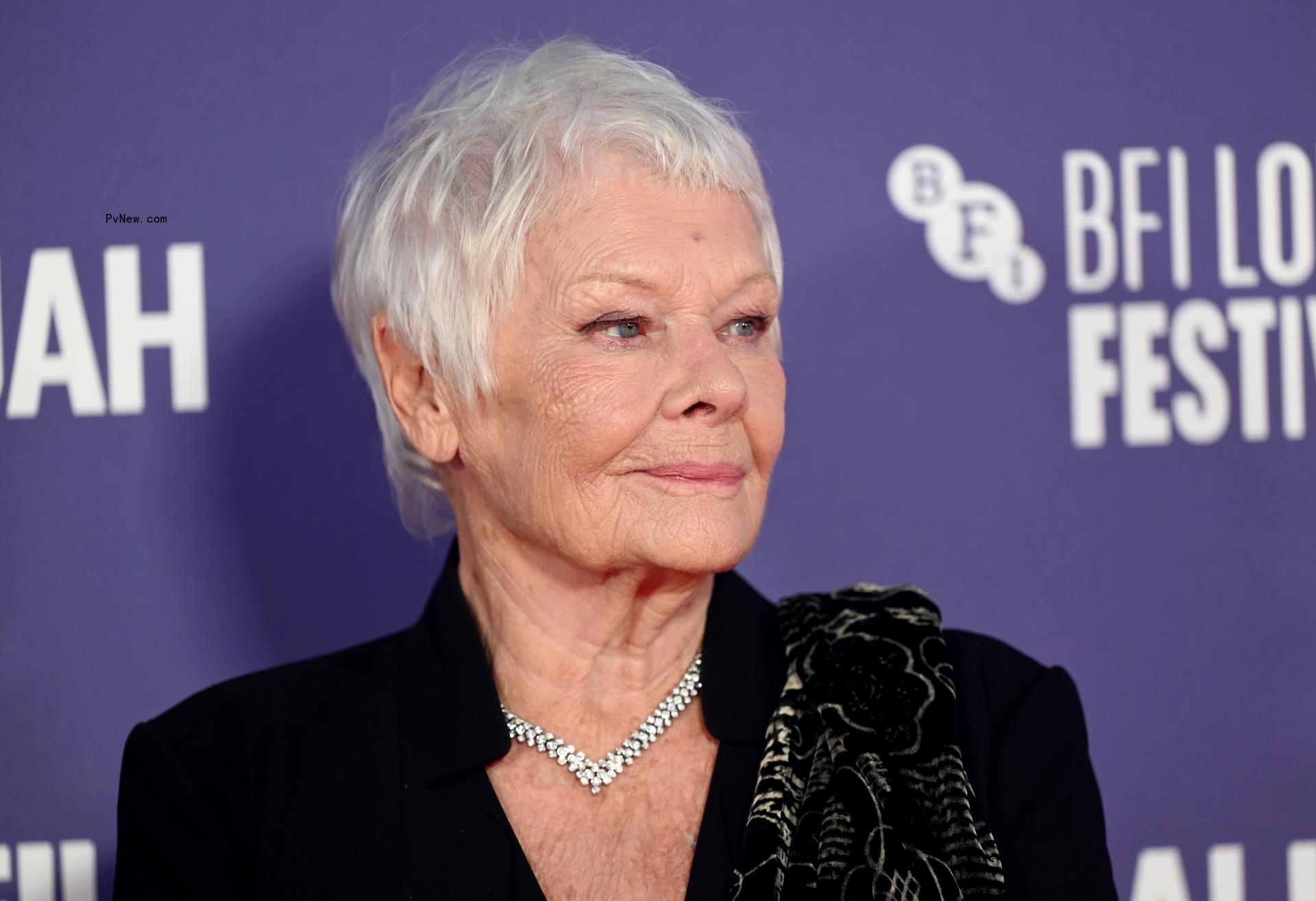 Judi Dench Criticizes Trigger Warnings in Theater: ‘If You’re That Sensitive, Don’t Go’