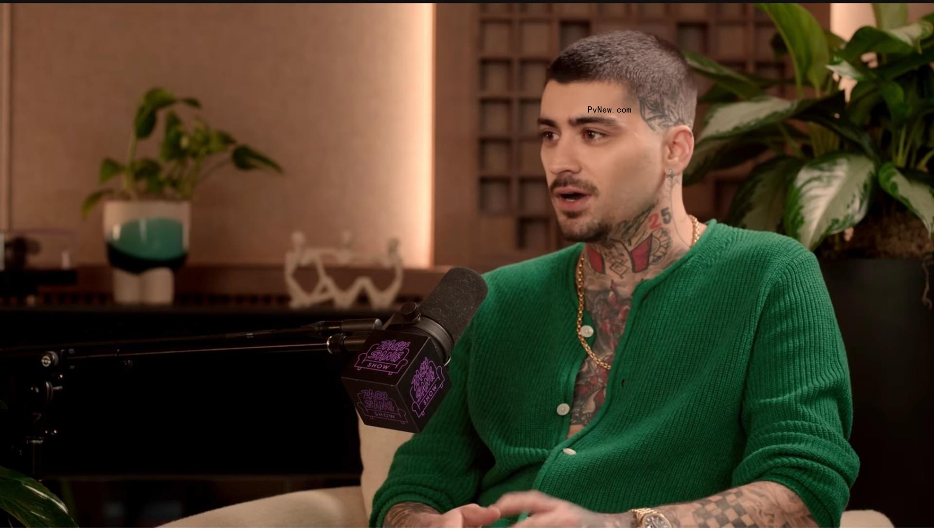 Zayn Malik