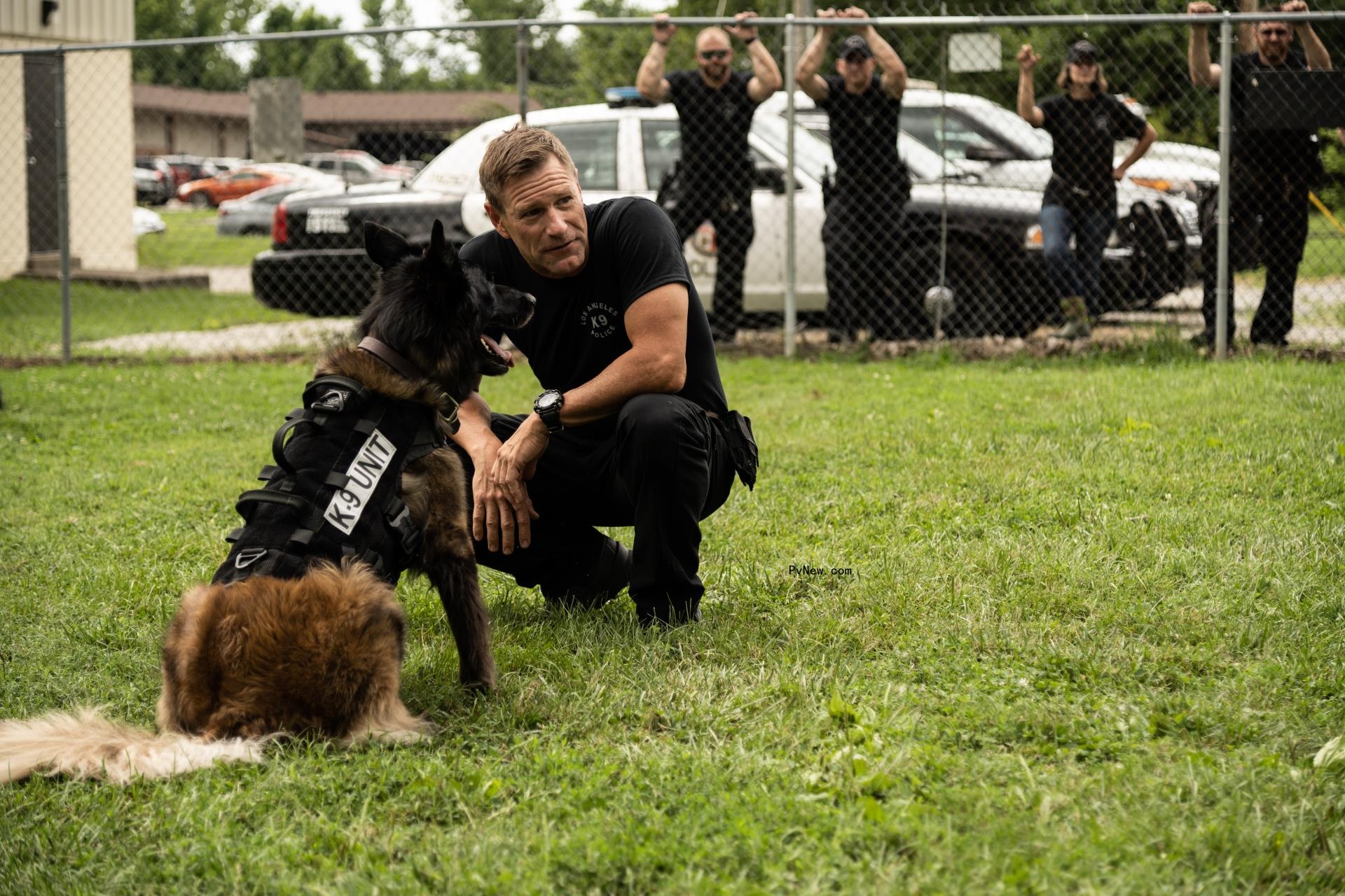 Aaron Eckhart Returning for Canine Action Thriller Sequel ‘Muzzle: City of Wolves’