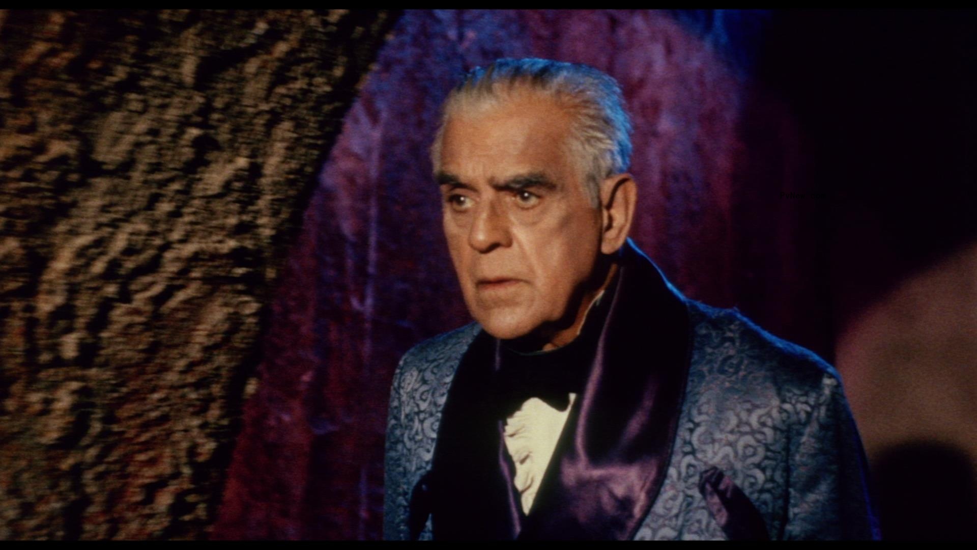 Film Masters Partners with American Genre Film Archive for Theatrical Distribution of Restored Titles From Roger Corman and More