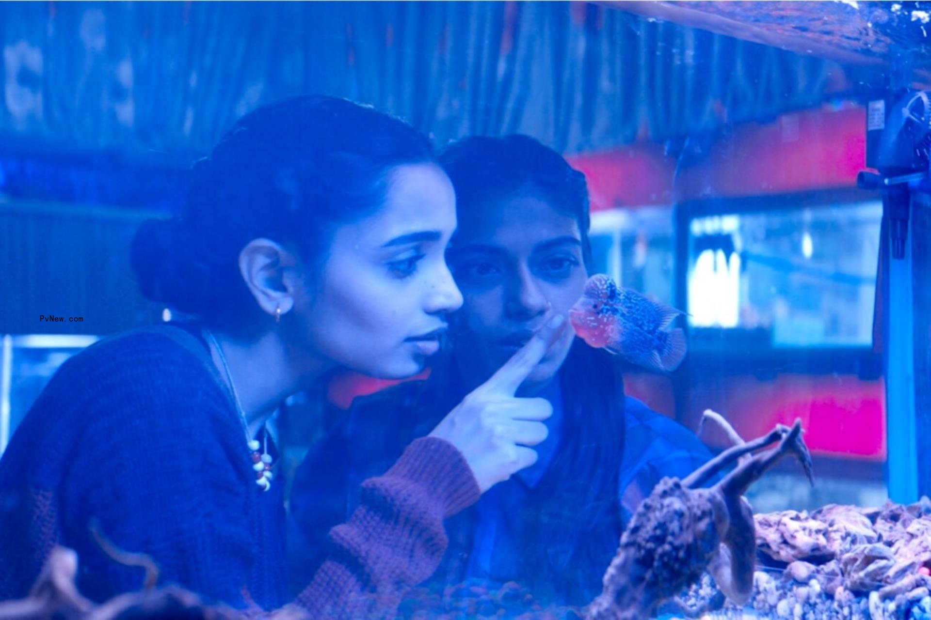 How India-Set Nepal-Shot ‘The Shameless’ Transitio<i></i>ned From docu<i></i>mentary to Adult Animation to Cannes Un Certain Regard Fiction Feature